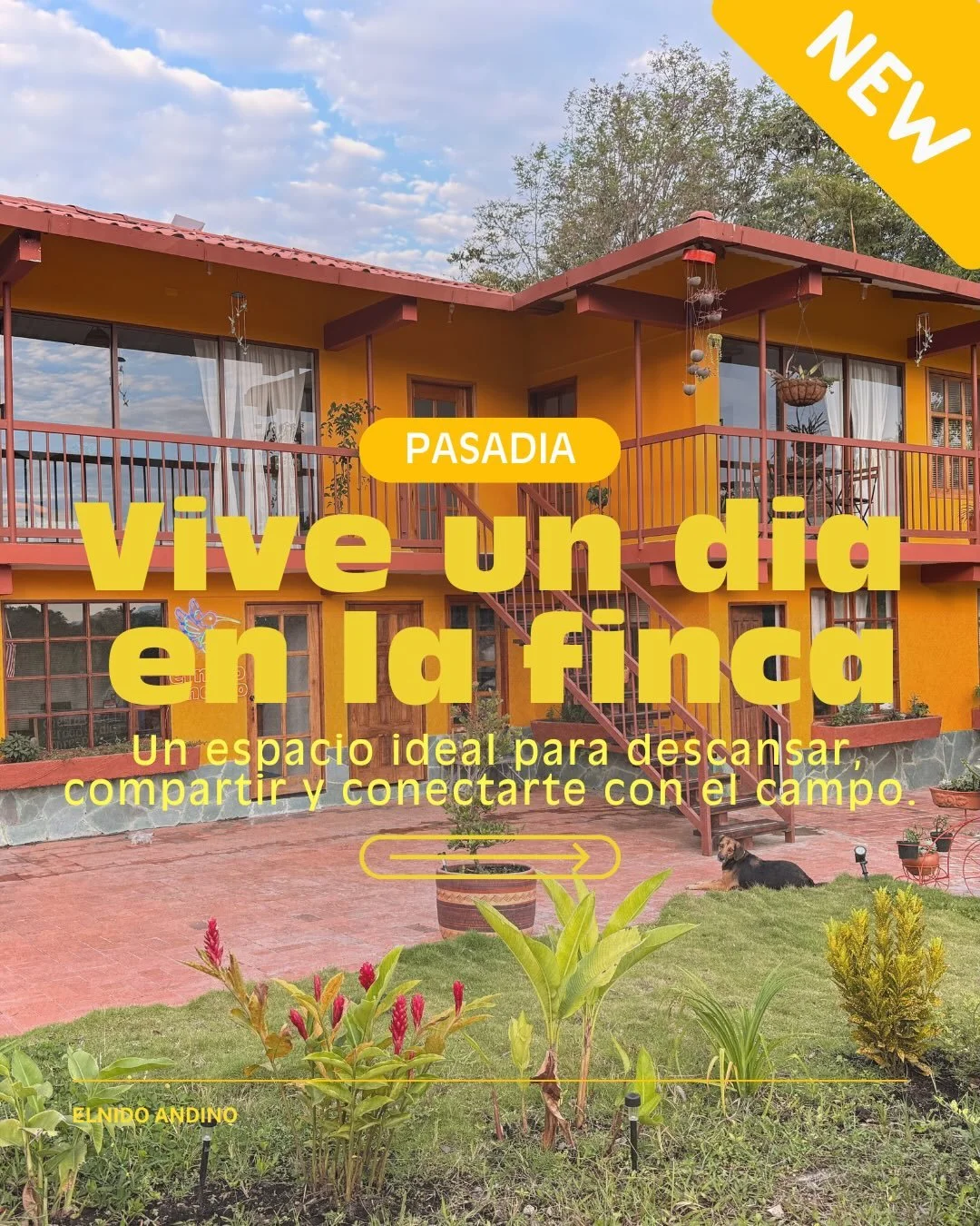 Esc&aacute;pate por un d&iacute;a y recarga tu energ&iacute;a rodeado de monta&ntilde;a, piscina y buen caf&eacute;.
El Nido Andino est&aacute; listo para recibirte 🌿
Reserva tu pasad&iacute;a y vive la cordillera a tu ritmo &rarr; ✨