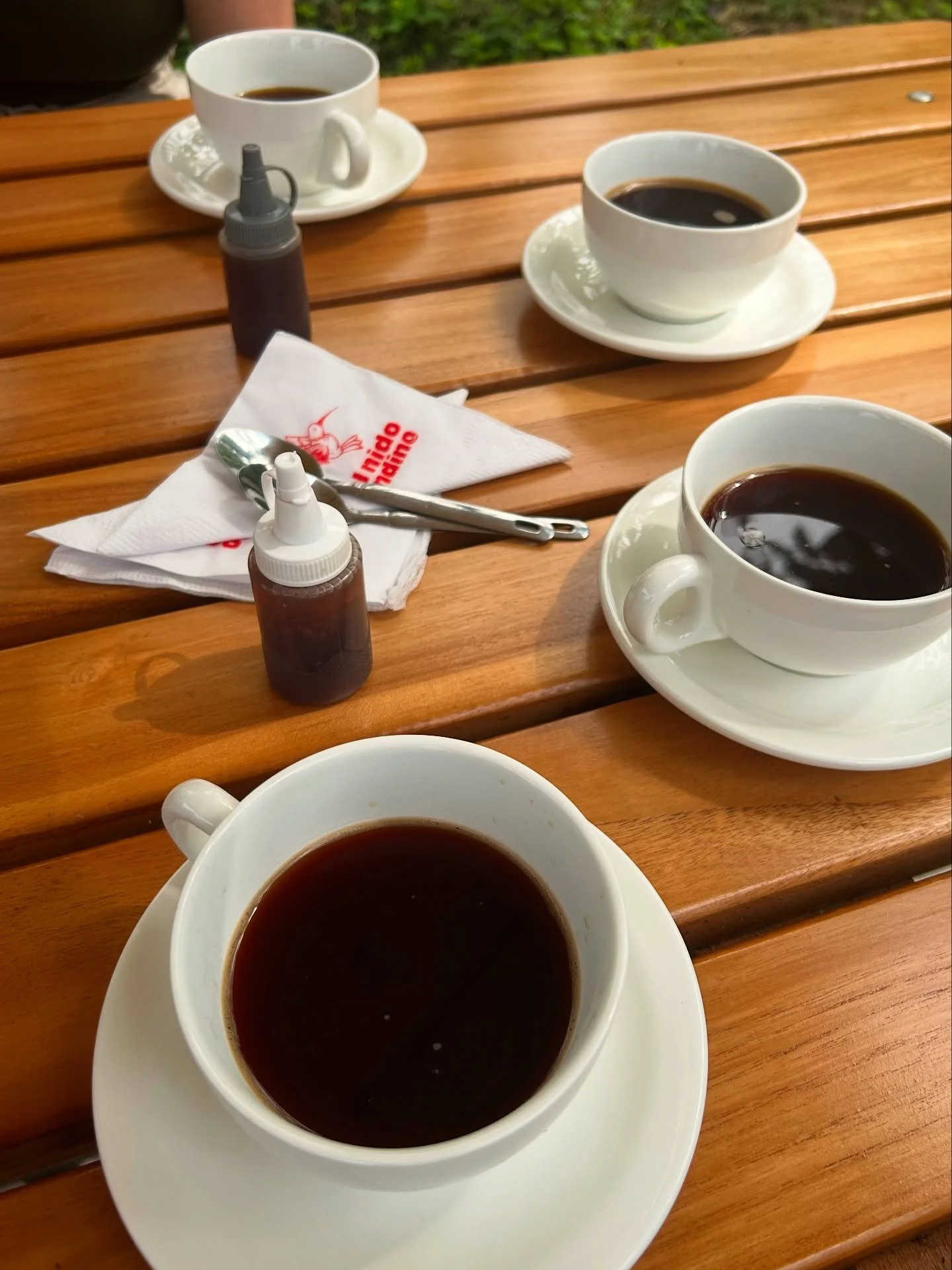 ☕🌿 En El Nido Andino el caf&eacute; no es solo una bebida, &iexcl;es una experiencia! Desde la finca a tu taza, descubre el sabor aut&eacute;ntico de nuestra tierra.

✨ Ven, aprende sobre el proceso del caf&eacute; y disfruta de una taza reci&eacute