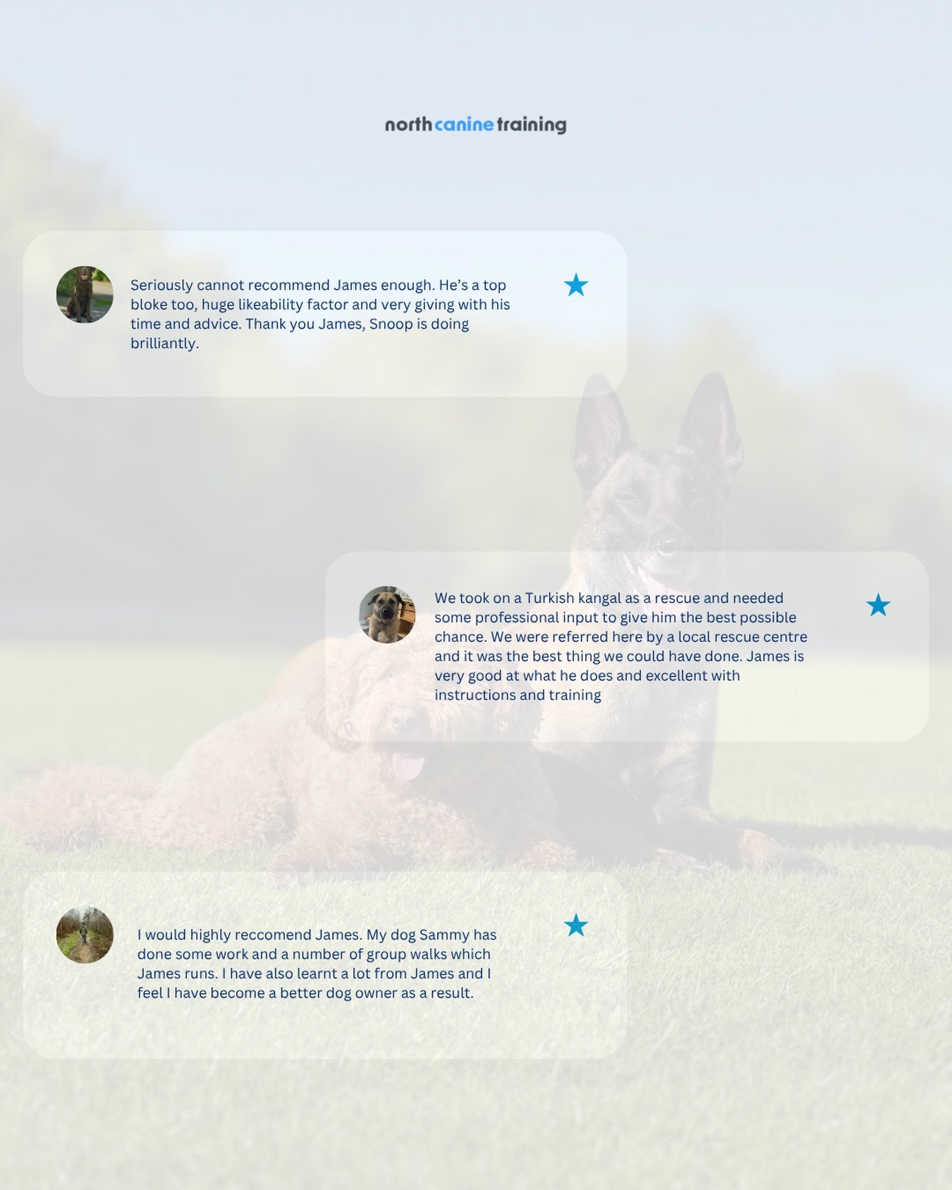 We&rsquo;ve been a little quiet on here recently, so here is a handful of reviews from the last couple of weeks ⭐️
 
If you want results or feel stuck, we are now onboarding new training clients for June 📩

#dogtraining