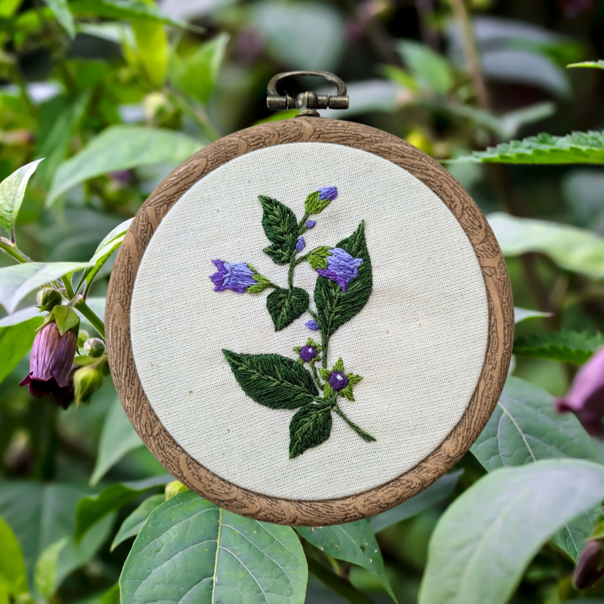 Belladonna/Deadly Nightshade - The Poison Garden Collection - Embroidery Kit