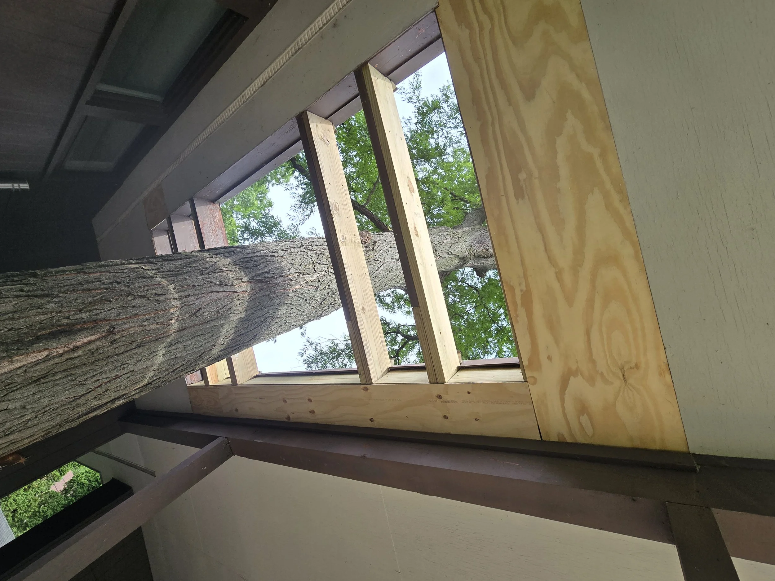 Repair severe rot in soffit and structural supports for a covered breezeway with a unique skylight for a tree!