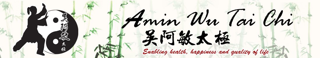 Amin Wu Tai Chi