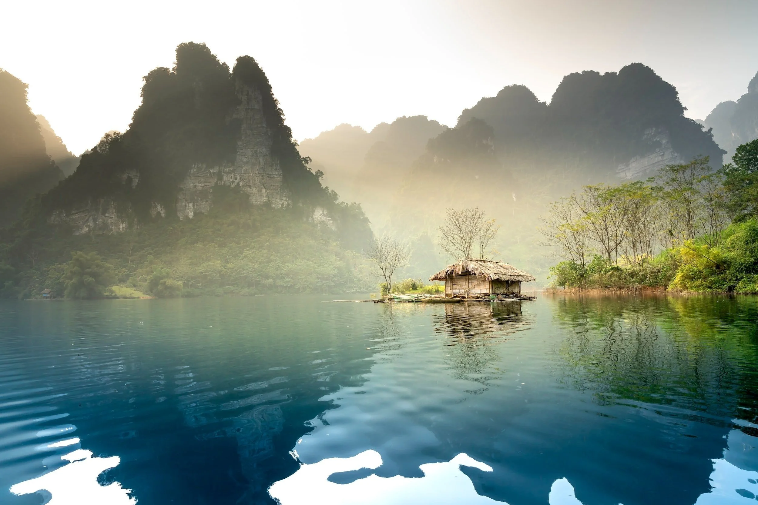 Nature Nurtures Brain Health