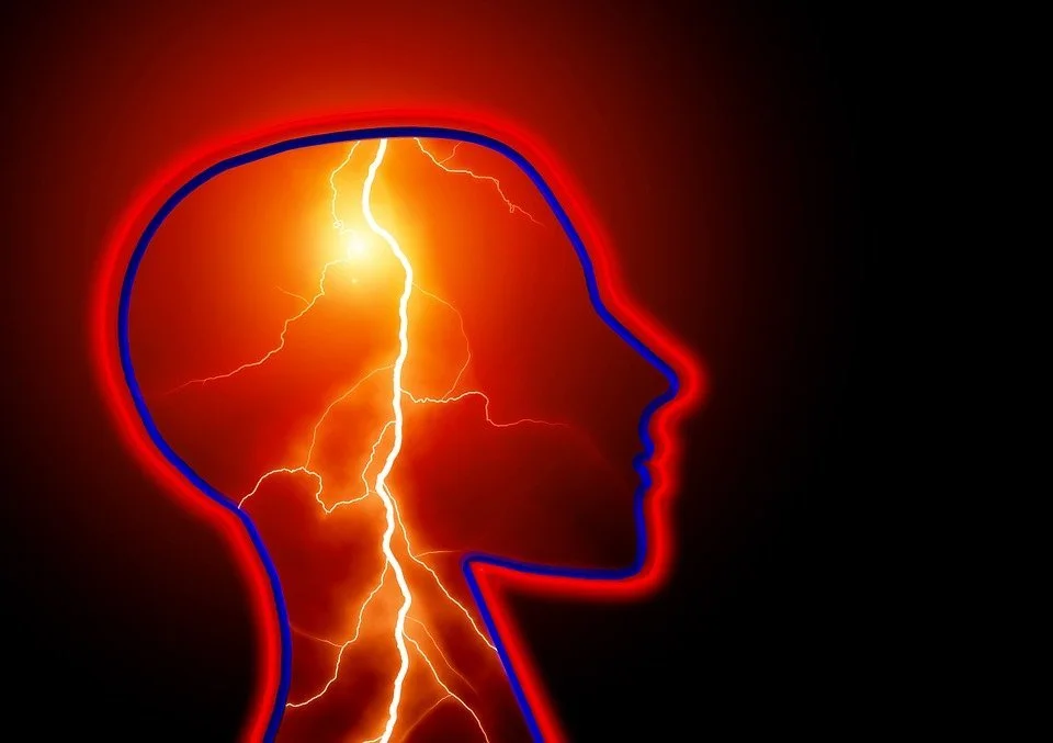 Tickborne Triggered Seizure Disorder: Case Study of a Teenager with New Onset Seizure Disorder and the Neurological Impact of Tickborne Diseases