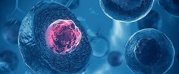 Exome therapy for Autism Spectrum Disorder, PANS, Autoimmune Encephalopathy ,Neurological Lyme and Other Inflammatory Conditions in Children