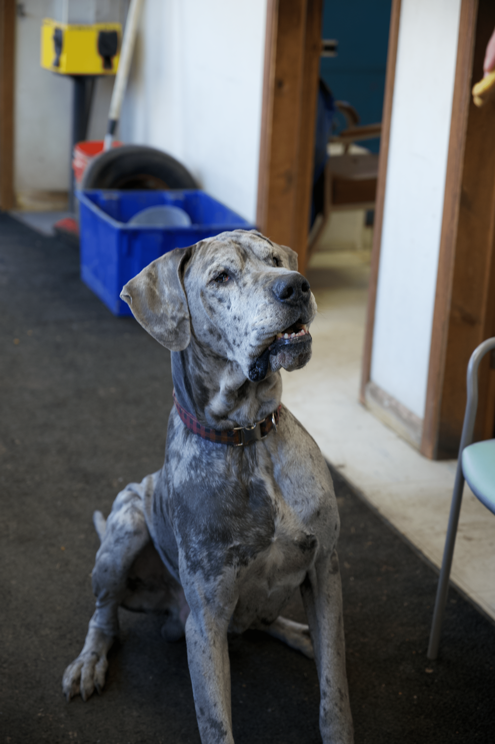 About — Stateline Recycling