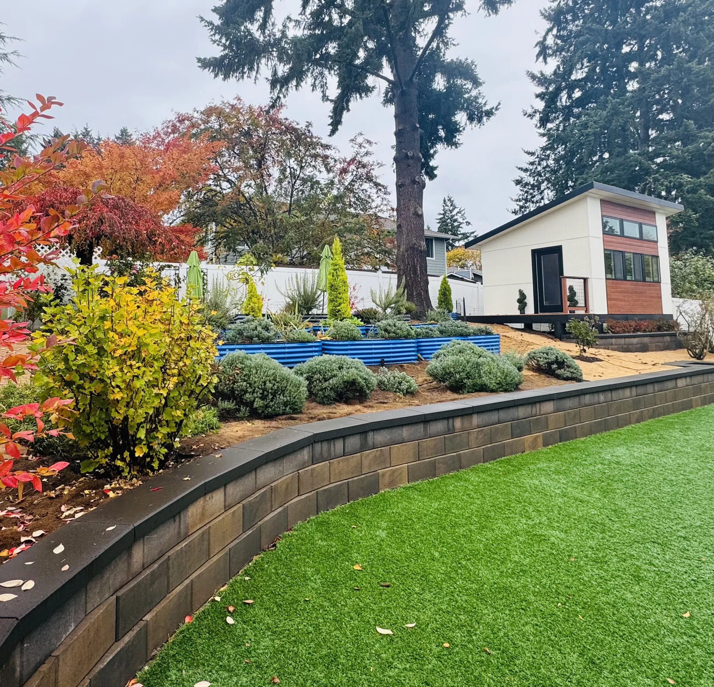 A landscaped backyard with a green lawn, a curved stone wall, a garden with shrubs and trees, a white modern shed with brown accents, and tall trees in the background.
