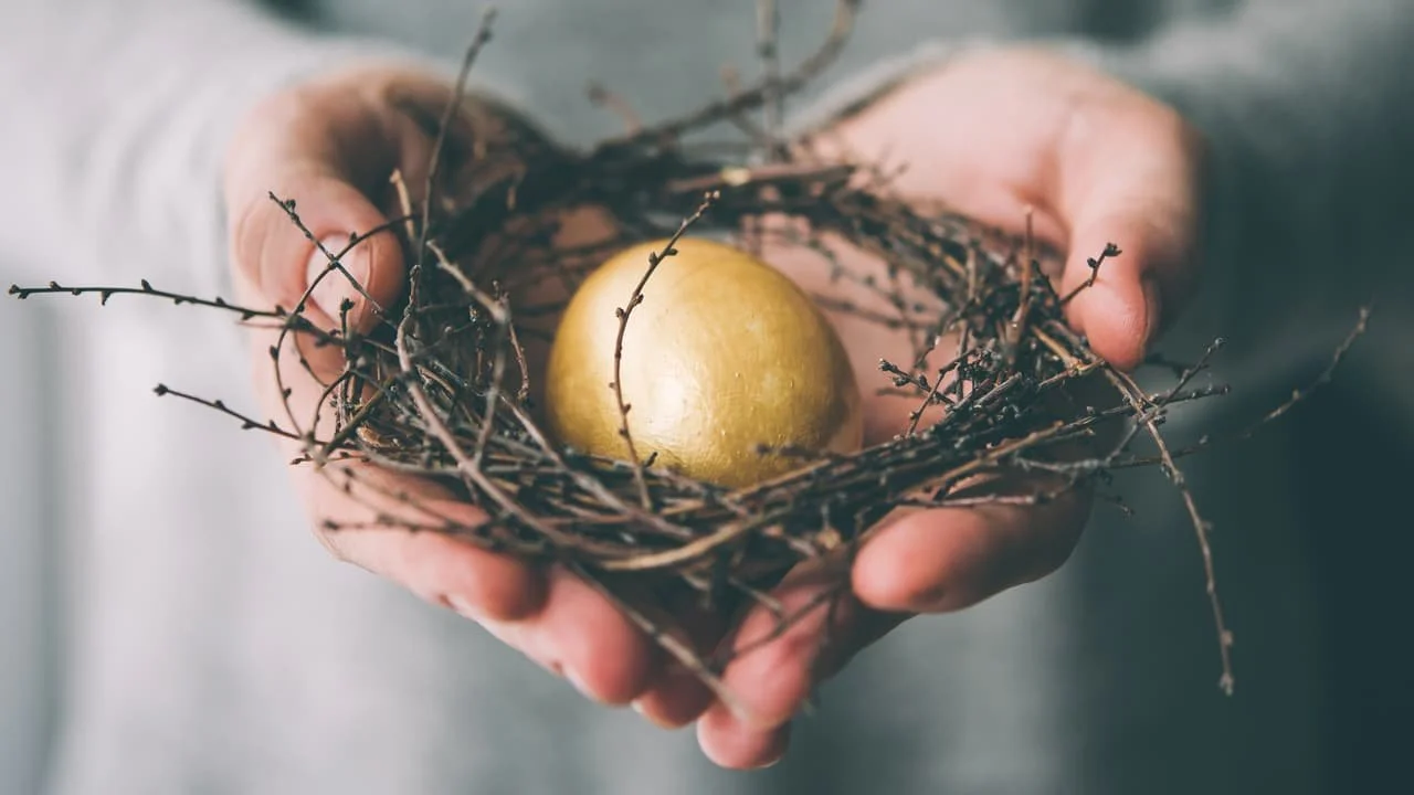 Hello genius. Your lived experience is more powerful than your résumé. 