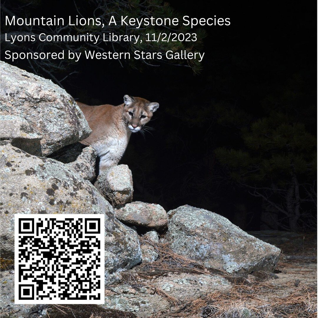 Free Presentation: Mountain Lions, A Keystone Species
 David Neils, Wildlife Cinematographer
11/2/2023, 6:30 - 8:30 pm
Lyons Community Library

Register via QR code or www.wildnaturemedia.com

I'll be sharing what I've learned about mountain lions a 