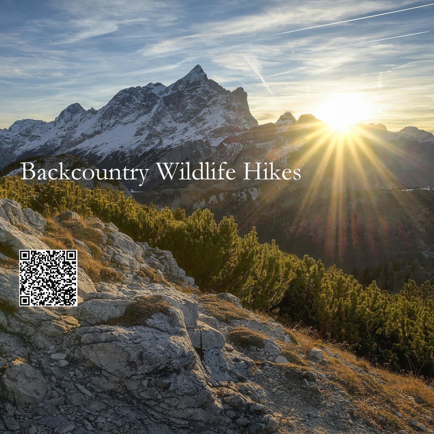 Experience a custom backcountry and wildlife hike in Northern Colorado, suited to your interests and physical abilities. Your guide, David Neils, has spent a lifetime in wild places studying and filming elusive wildlife species.

https://www.wildnatu