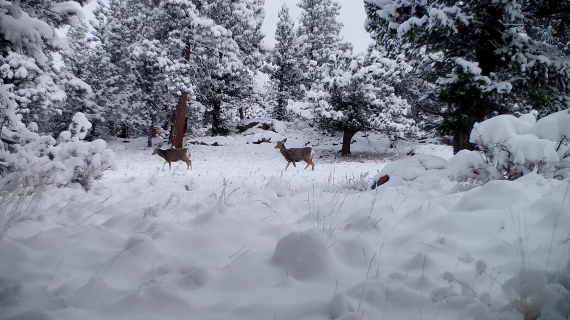 Winter Solstice Arrives Too Quickly