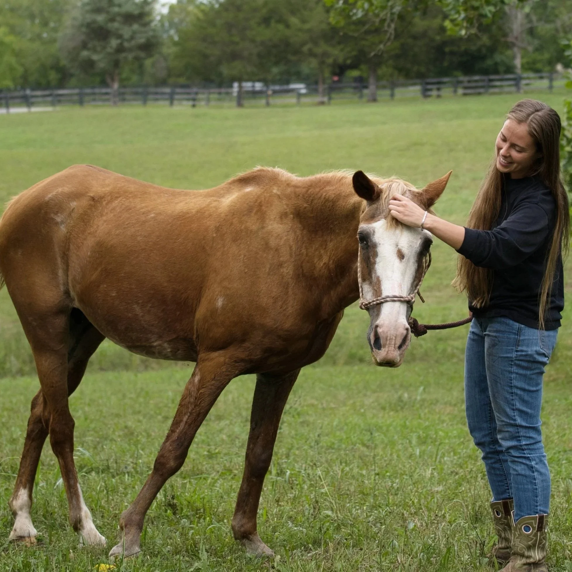 JoHanna Abell, online wellness coach, petting a chestnut and white horse on a green field, with trees and a fence in the background.