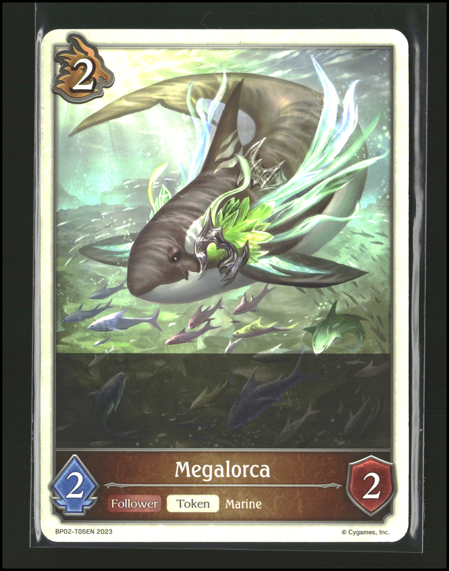 Megalorca (T)