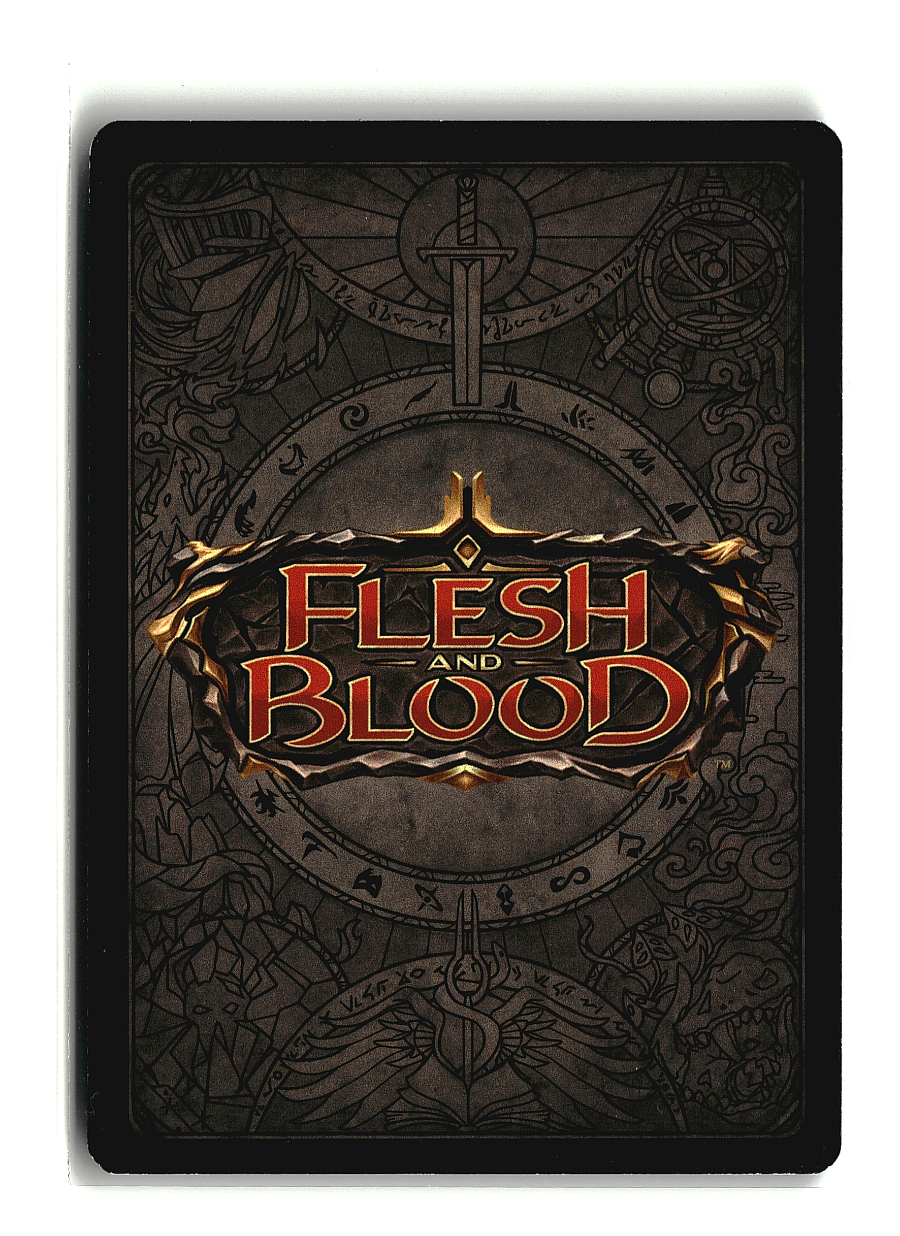 MSC - FAB - 12.03.25 - 10002.png