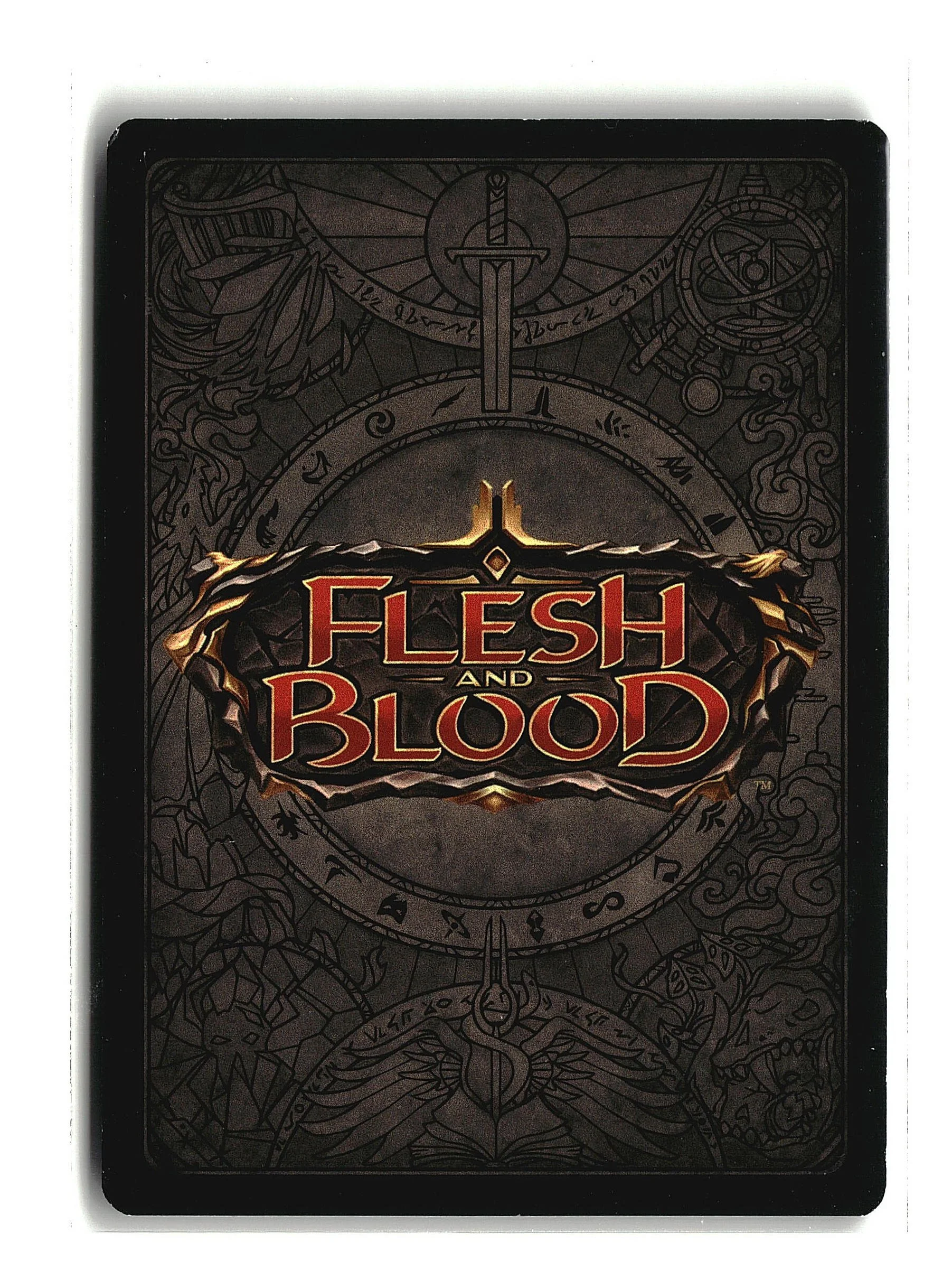 MSC - FAB - 10.1.25 - 1a0020.jpg