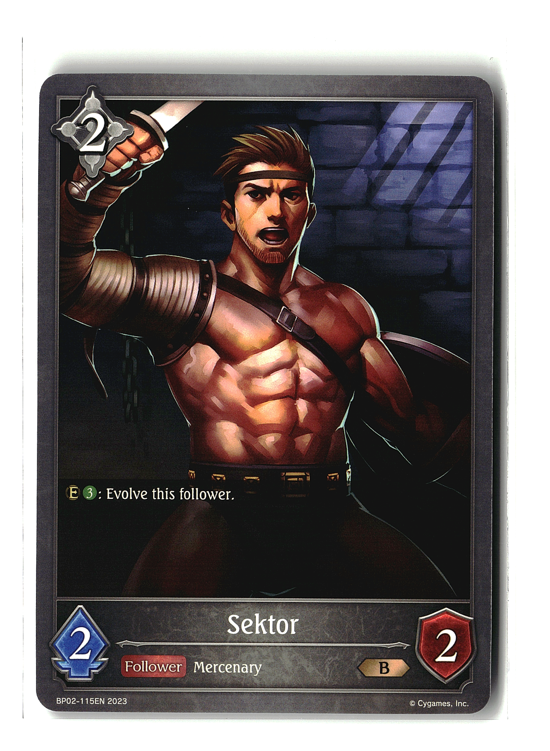 Shadowverse: Evolve - Sektor (B)