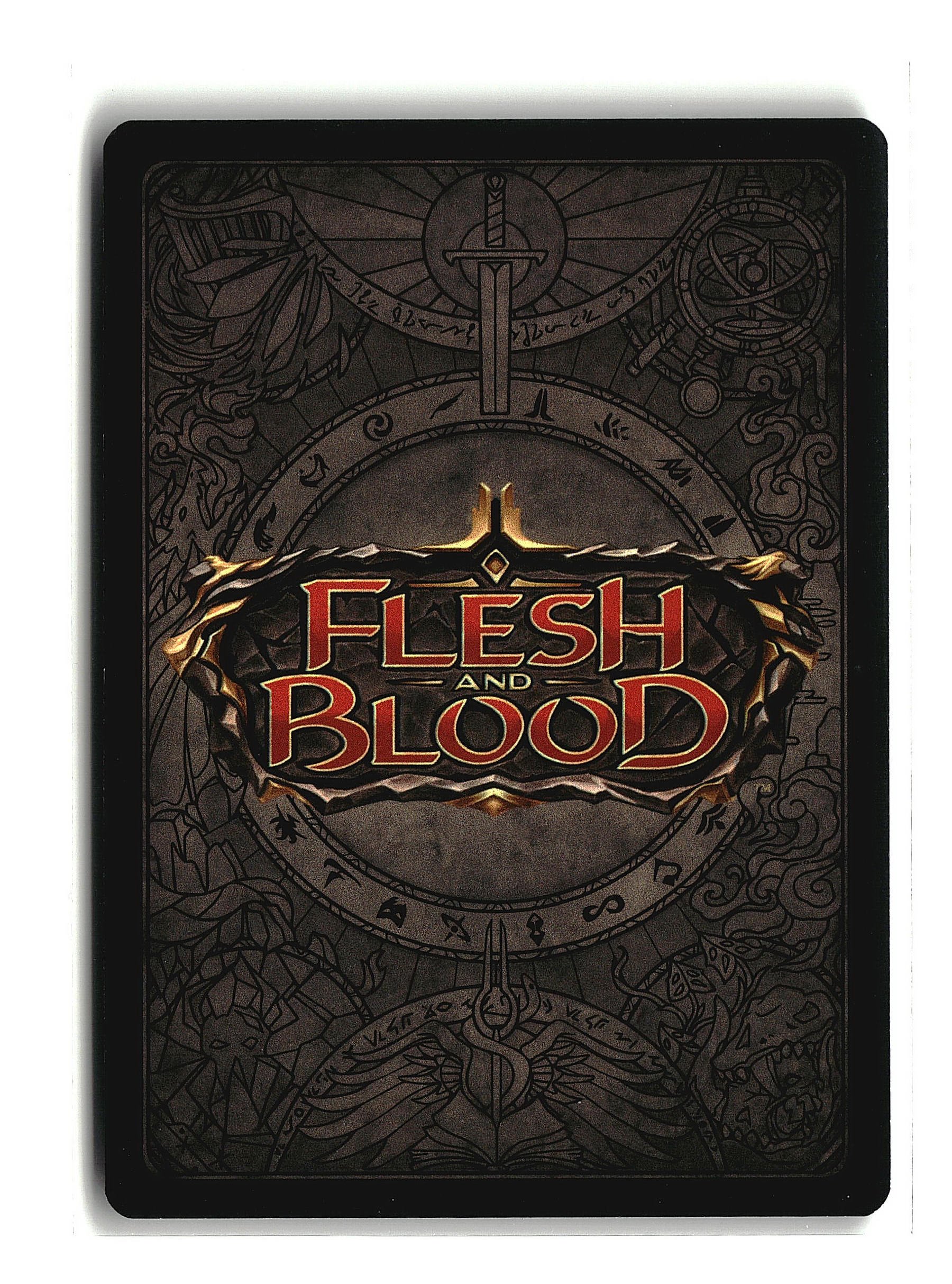 MSC - FAB - 10.1.25 - 1a0014.jpg