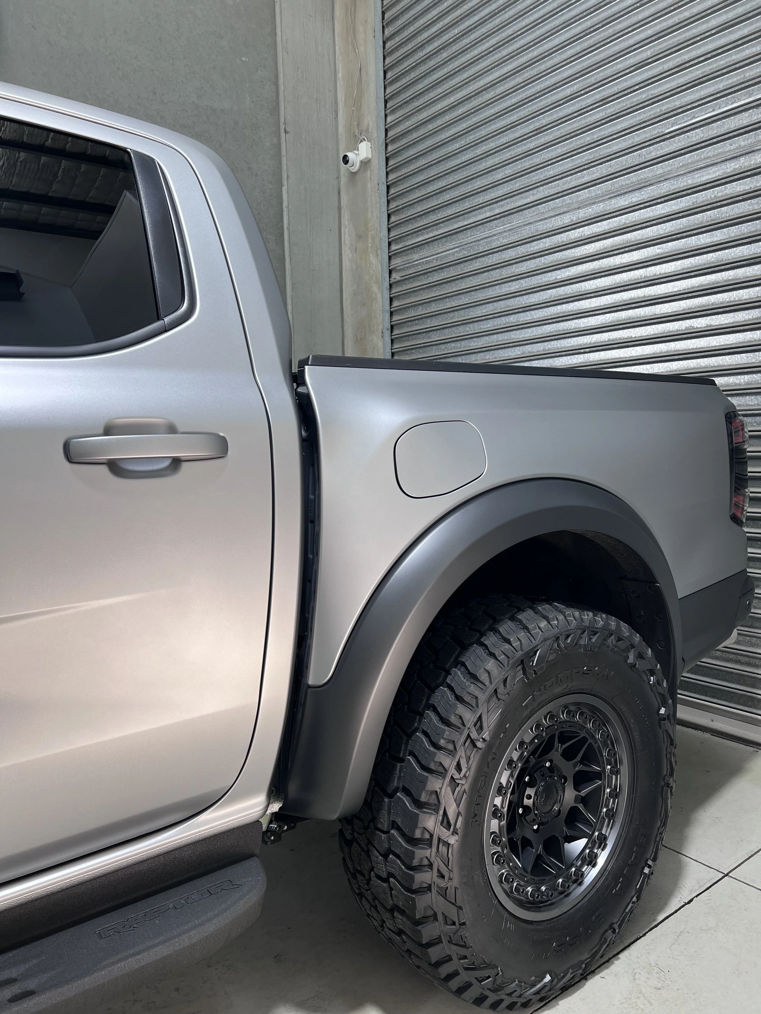 MATTE_RAPTOR.jpg