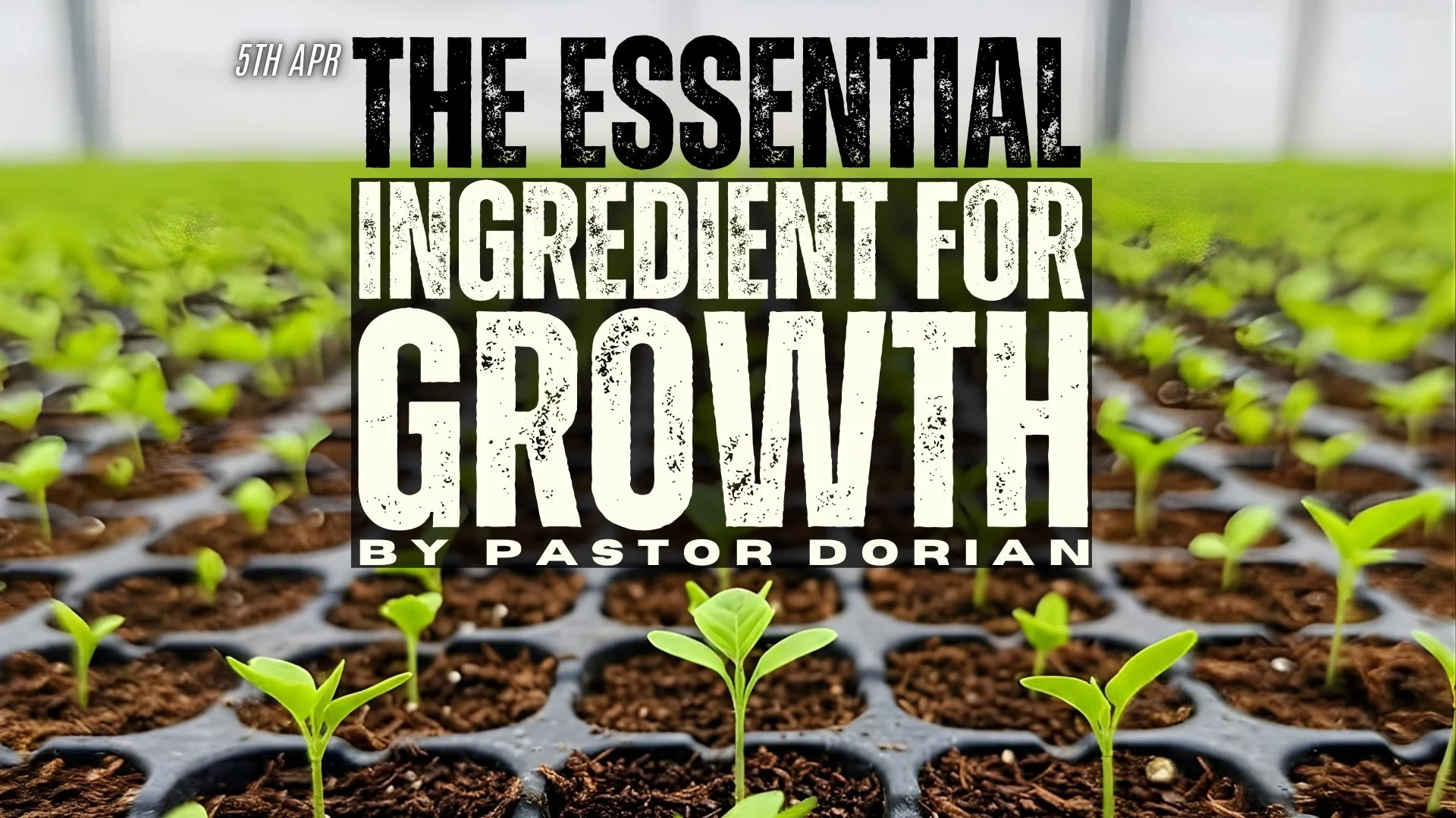 The Essential Ingredient for Growth