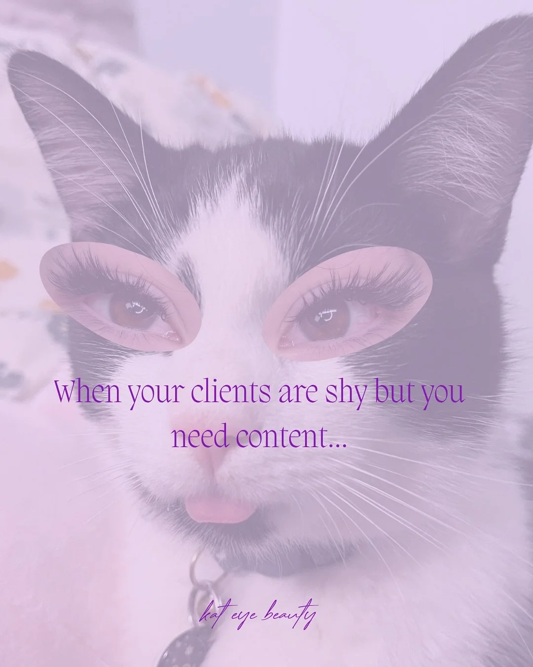 You know I HAD to hop on this trend🤣
I loved putting my work on some of the cats in my life!💜 
•
•
•
•
•
#lashesofinstagram #lashes #lashextensions #wispylashextensions