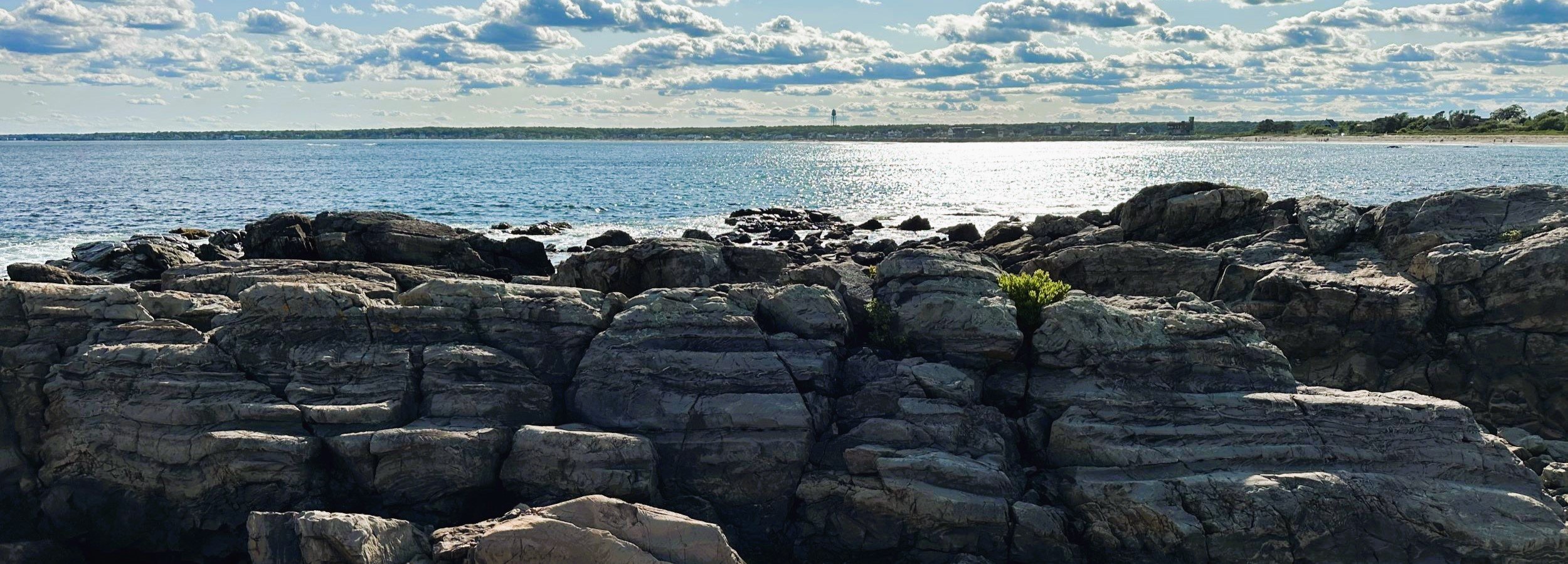 SProcks_crop.jpg
