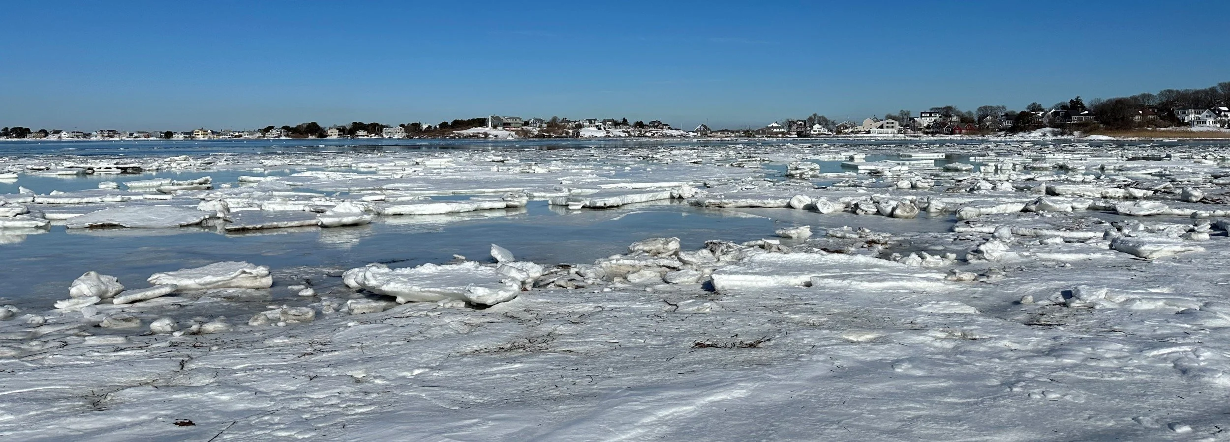 Back_bay_ice_crop.jpg