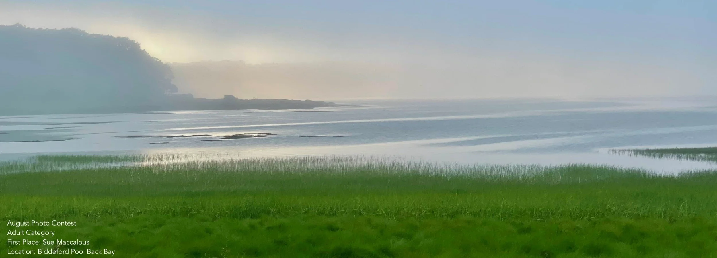 Aug2026Contest_SueMac_bay-fog2.jpg