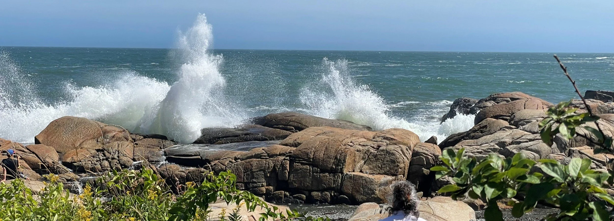 Ocean_Ave_SMac_crop.jpg