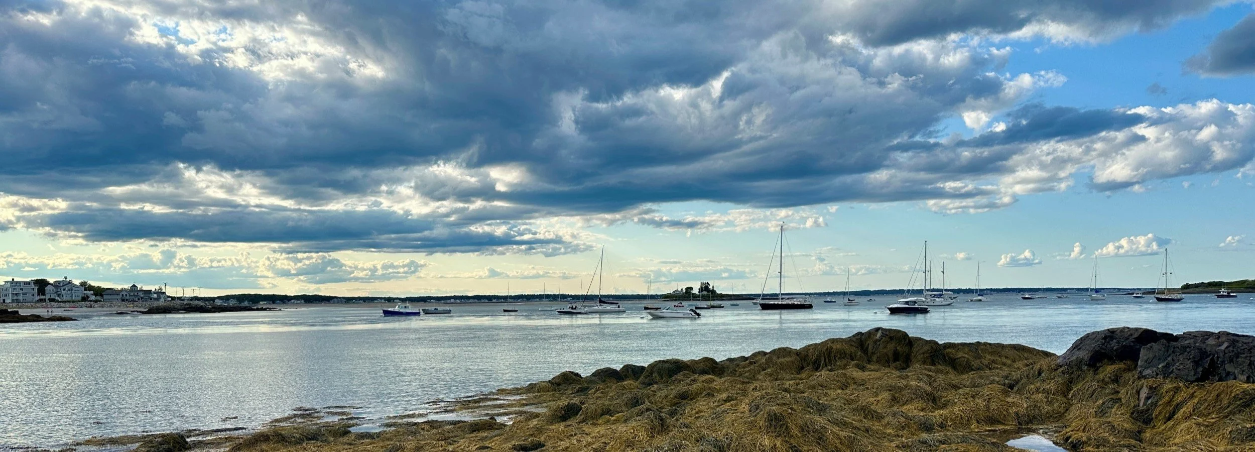 Back-Bay2_crop.jpg