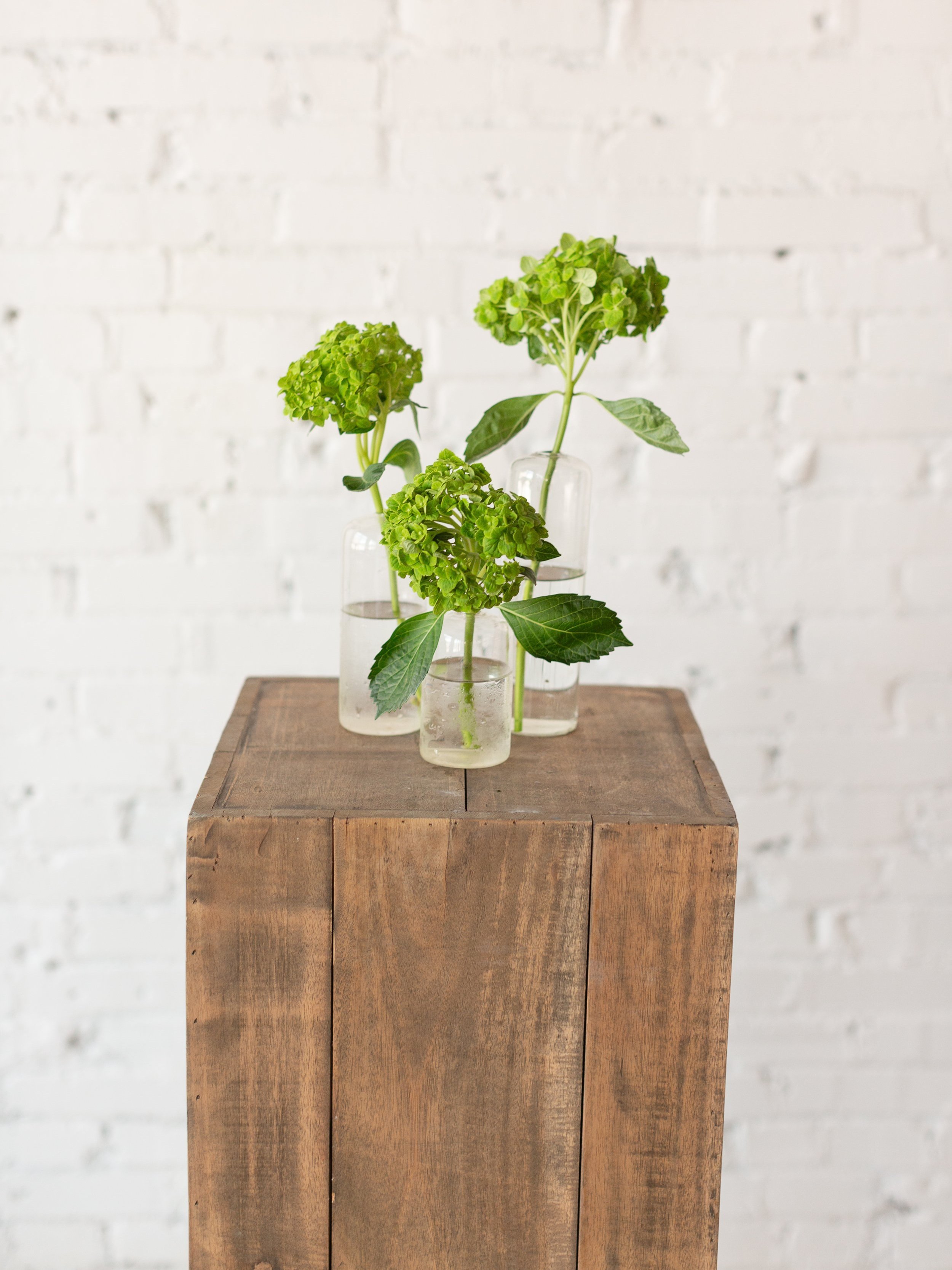 bud+vase+rental+st+louis+mo+florist+event+rentals+showers+parties+green+hydrangea.jpg