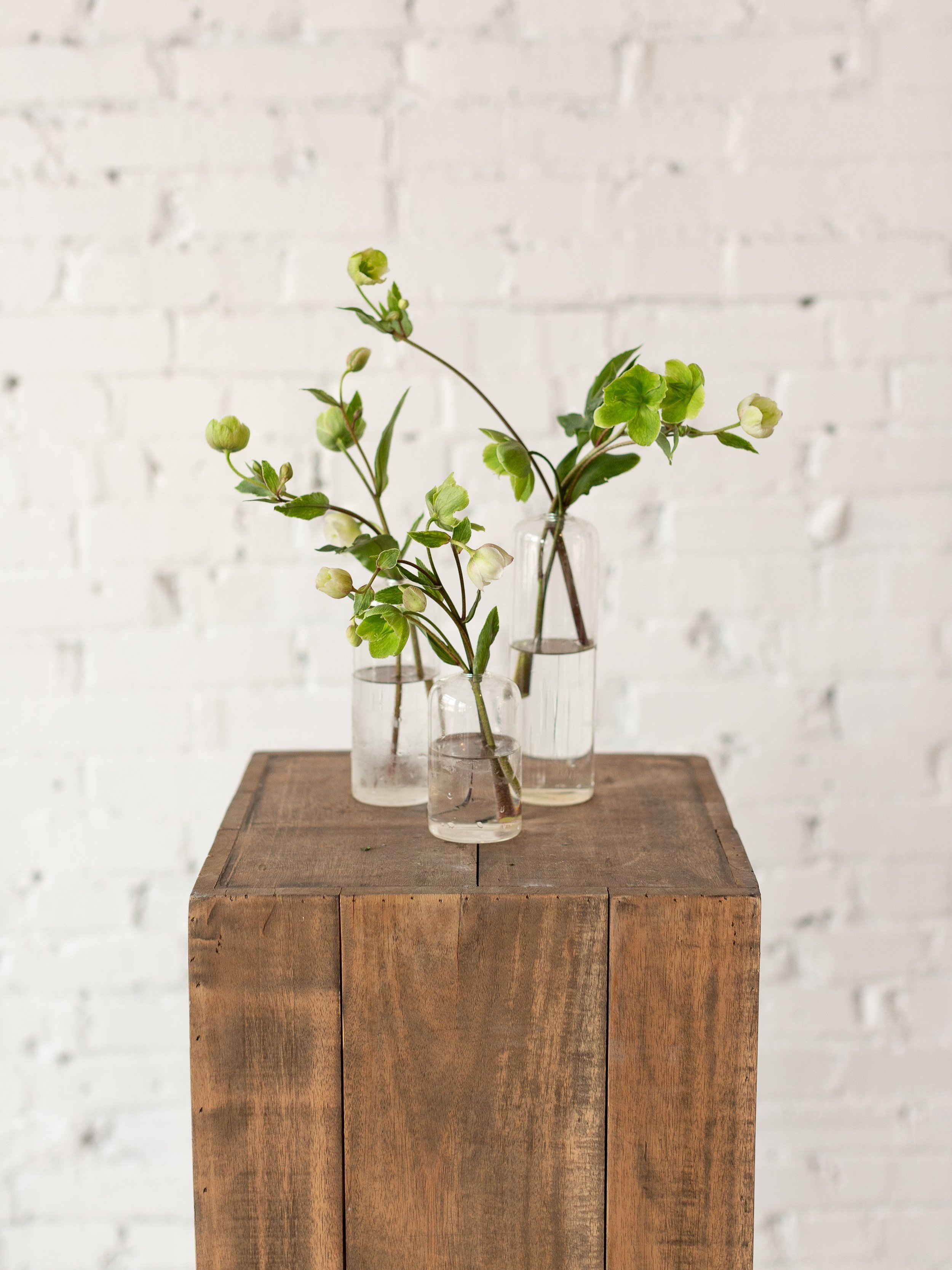bud+vase+rental+st+louis+mo+florist+event+rentals+showers+parties+green.jpg