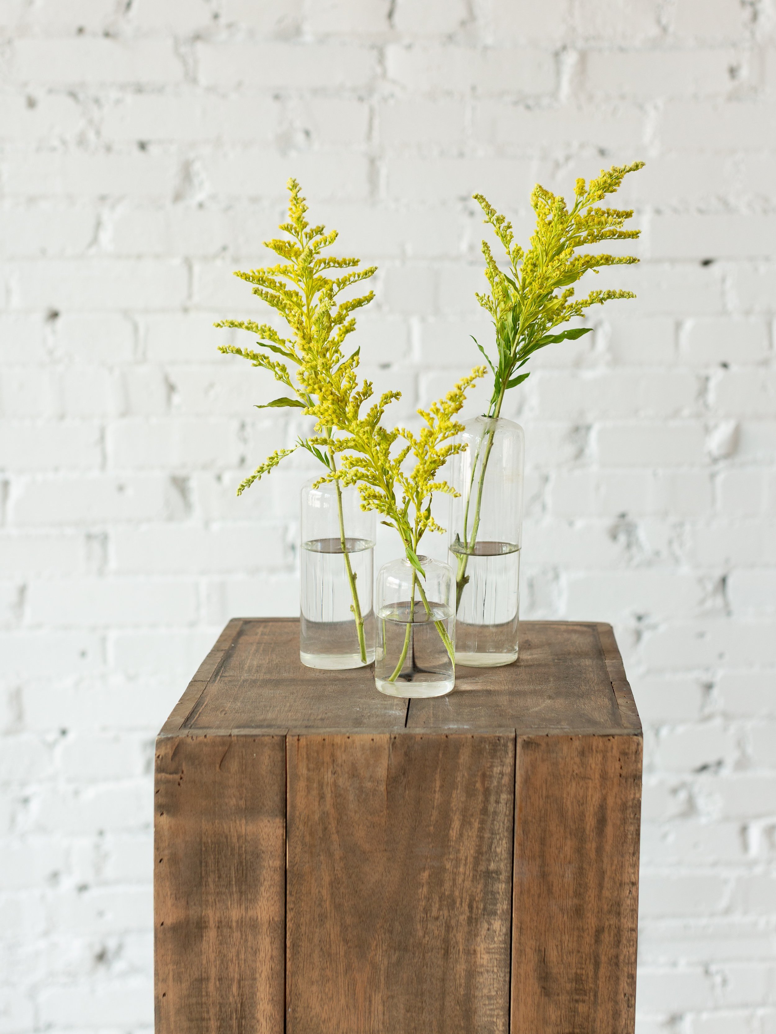 bud+vase+rental+st+louis+mo+florist+event+rentals+showers+parties+yellow+wildflower.jpg