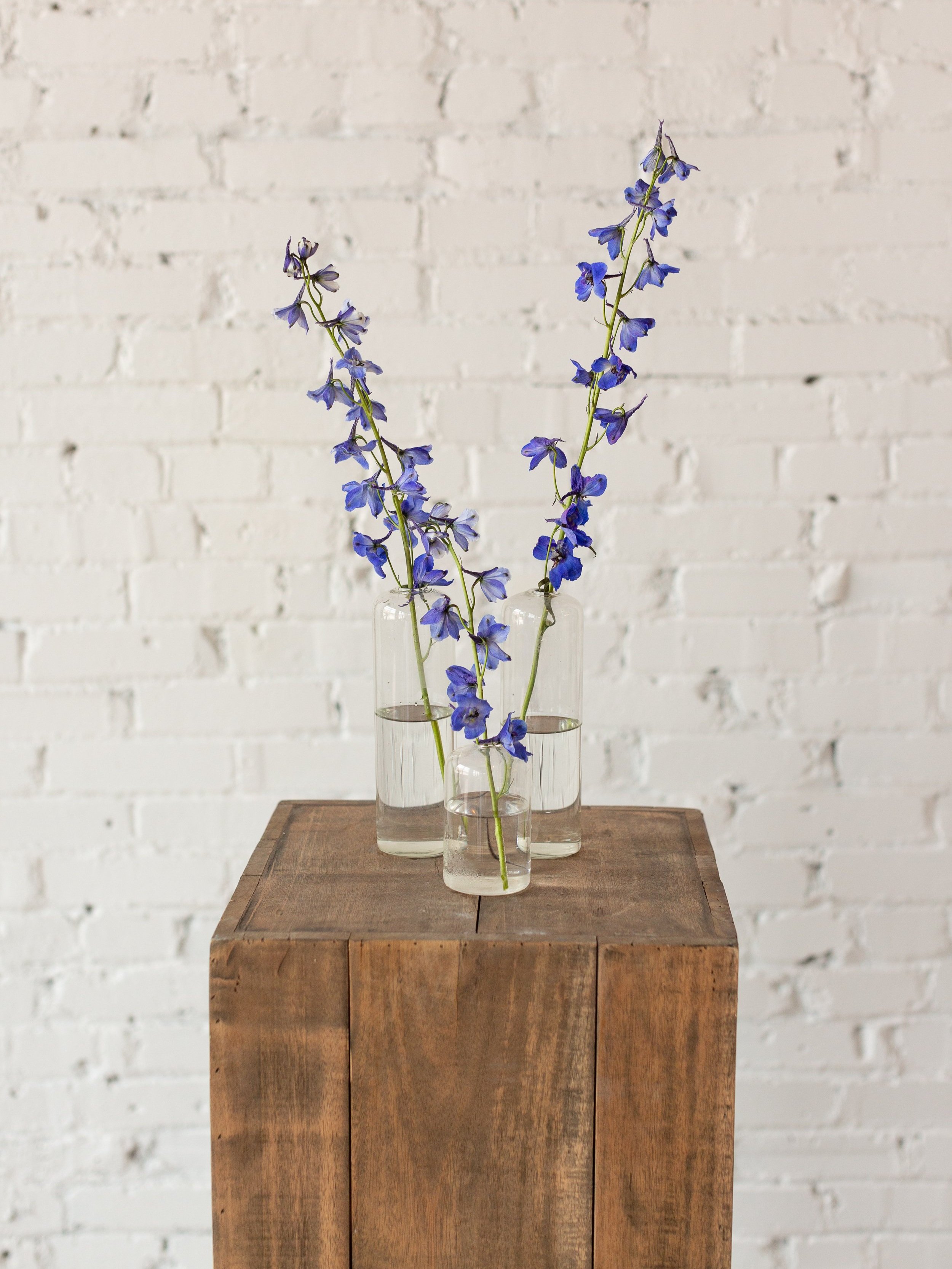 bud+vase+rental+st+louis+mo+florist+event+rentals+showers+parties+blue+delphinium.jpg