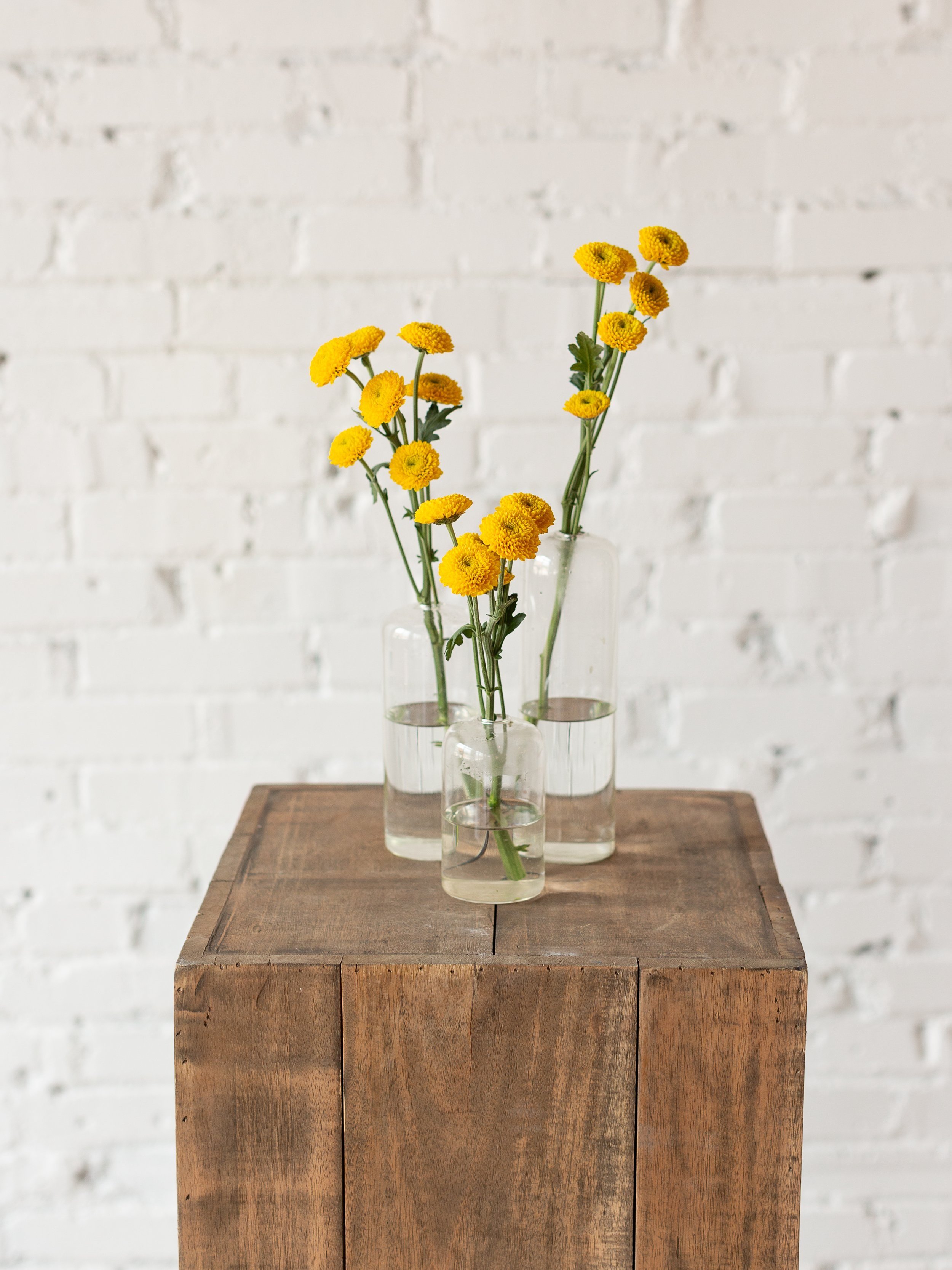 bud+vase+rental+st+louis+mo+florist+event+rentals+showers+parties+yellow.jpg