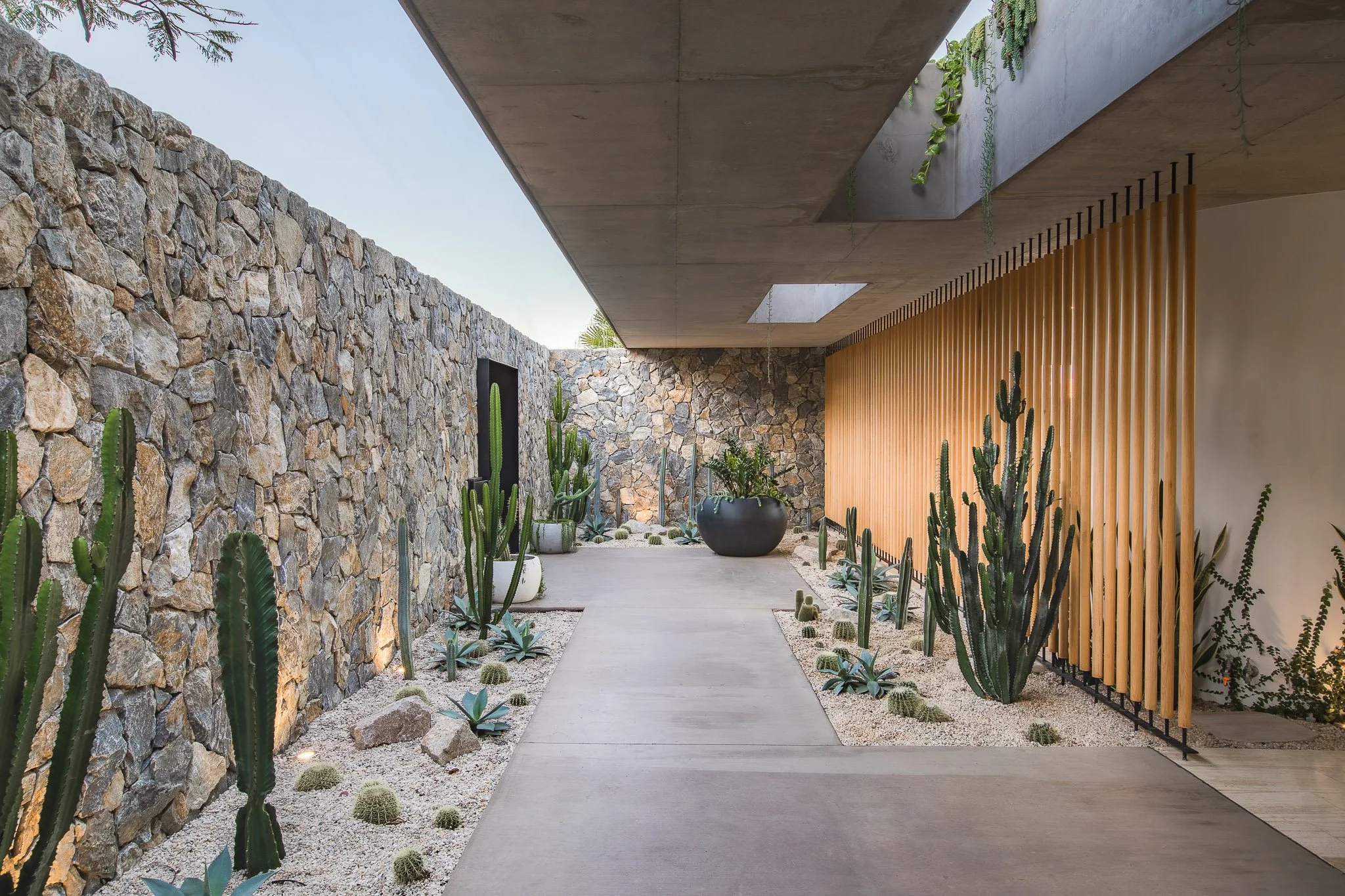 210713 Cactus House - Mitch Lowe Photo-4.jpg