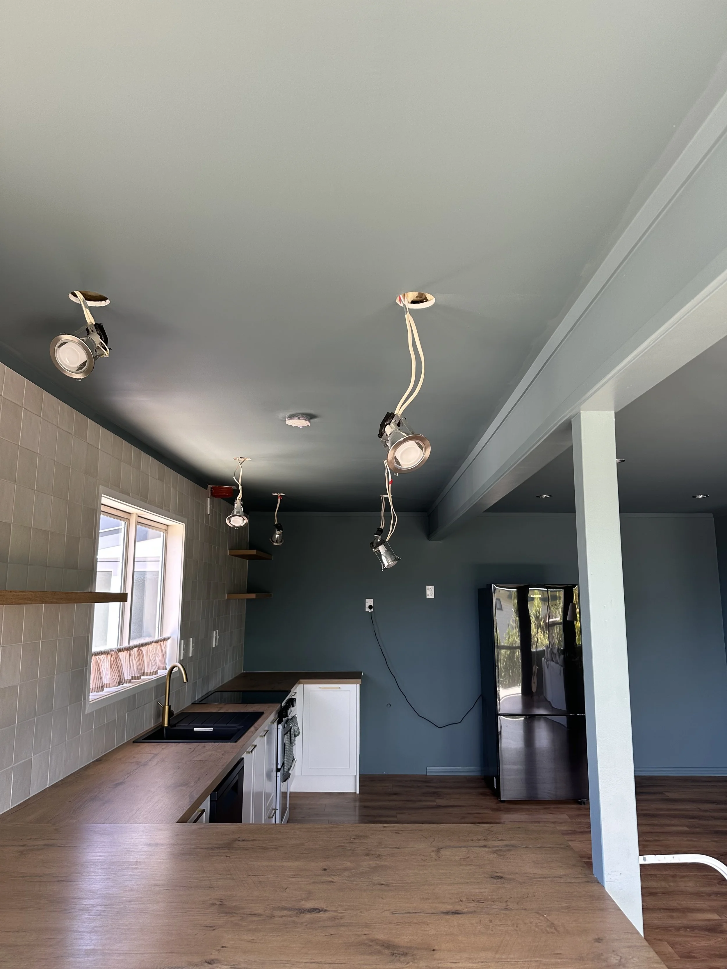 Snells colour drench WIP