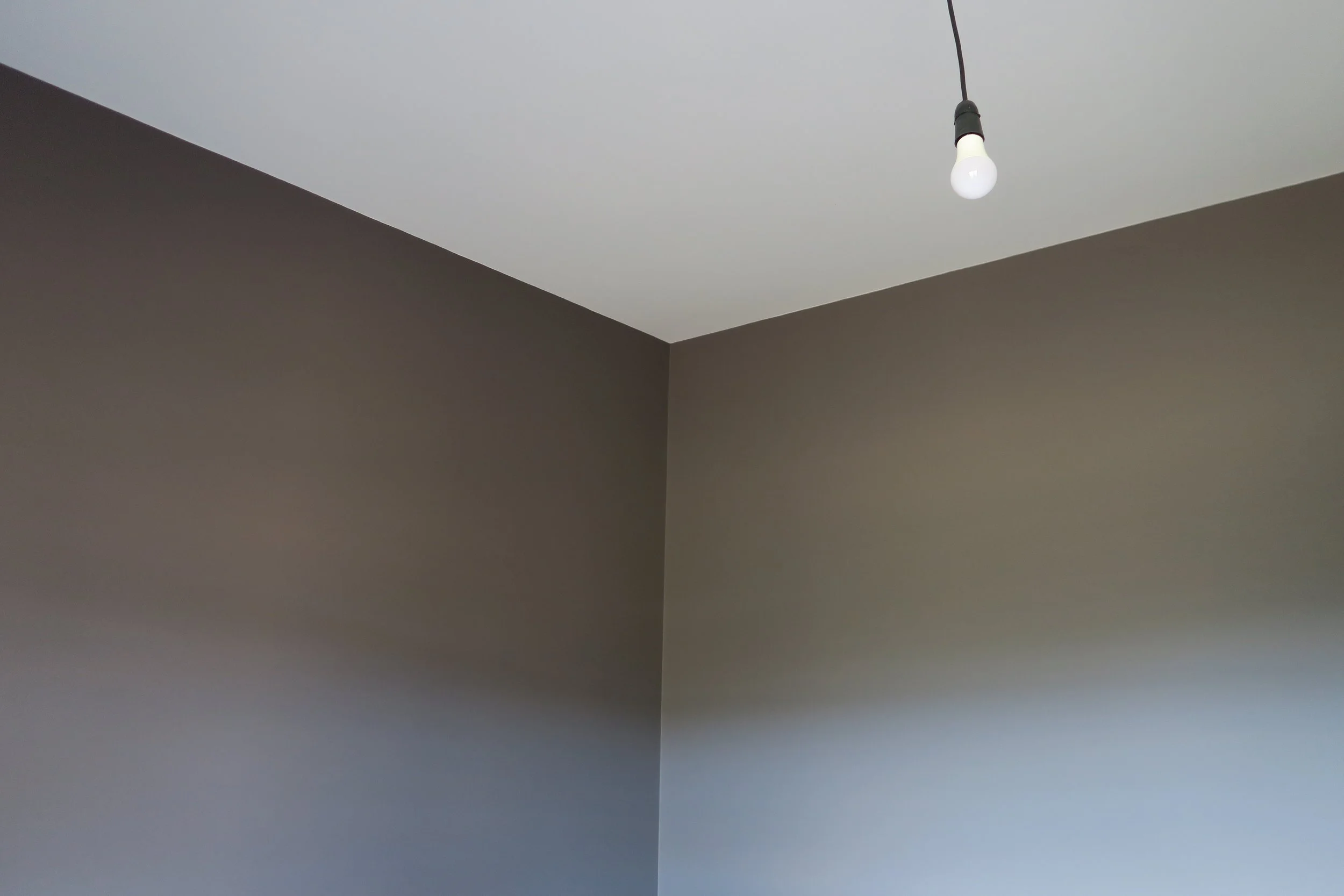 Schollum Rd New Build