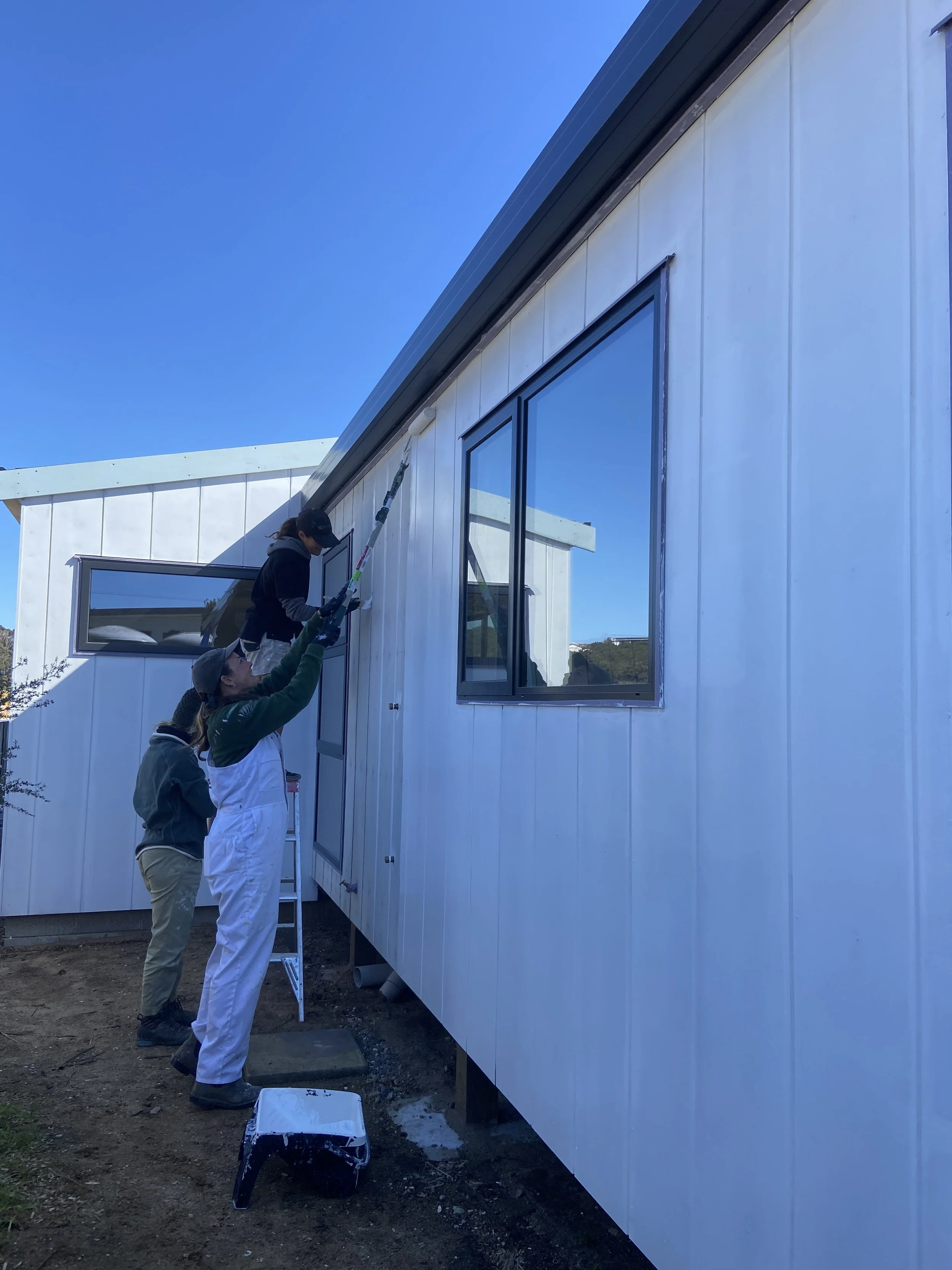 Weathertex double prime Mangawhai