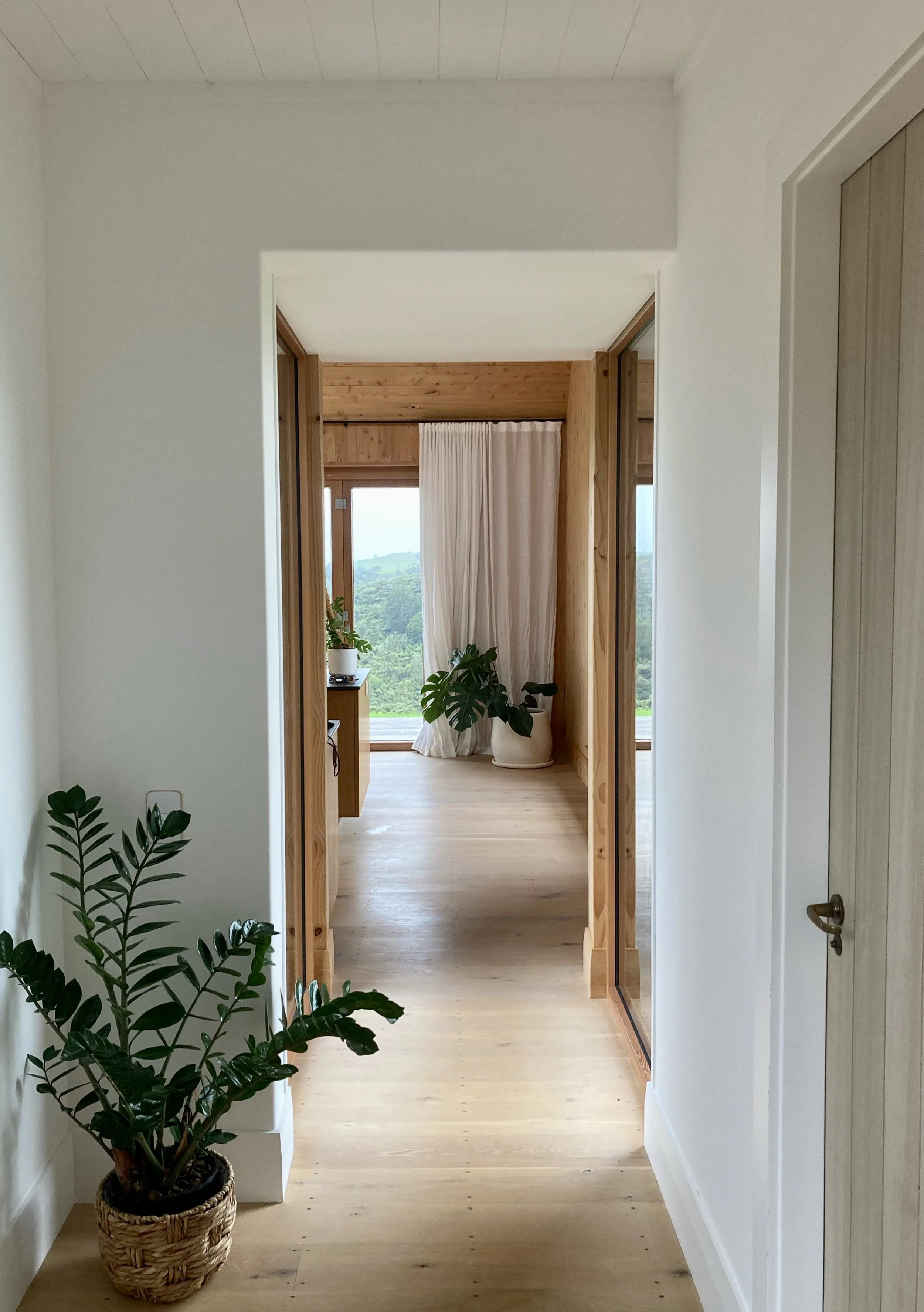 A hallway with a wooden floor and white walls, leading to a room with large windows and plants, with curtains and a scenic view outside.