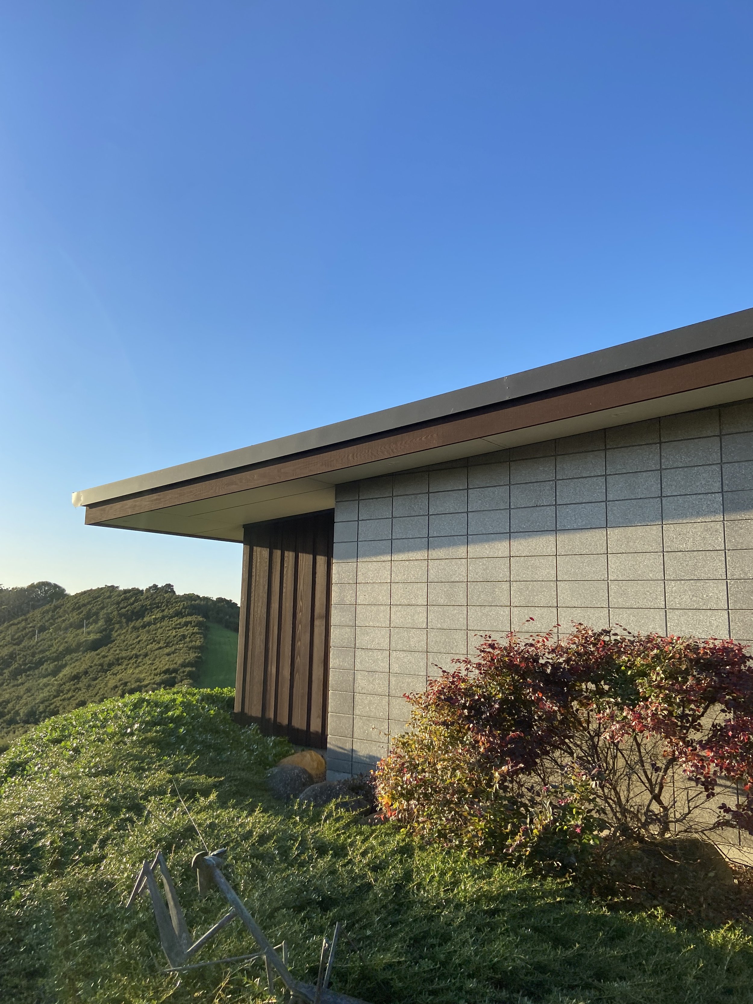 Side view of a modern house with a flat roof, brick and wood exterior, and a landscaped garden with bushes and rocks, under a clear blue sky.