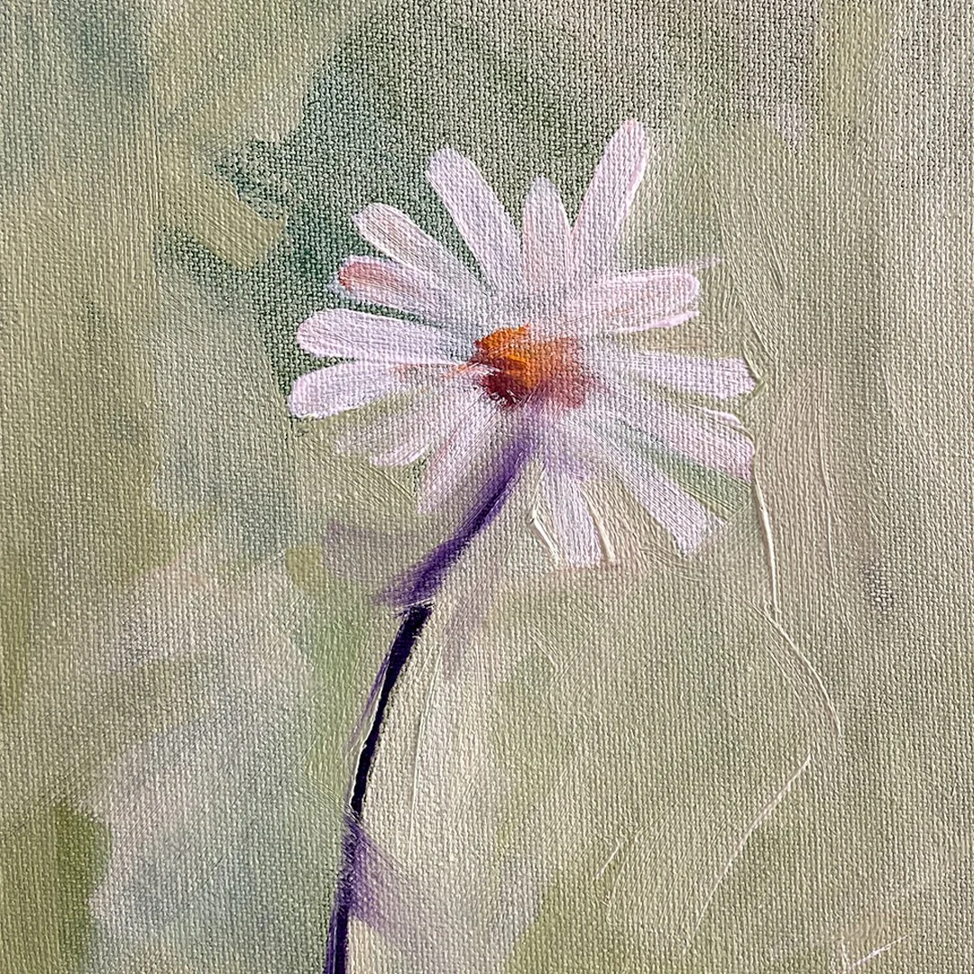 daisy2_1080x1080.jpg