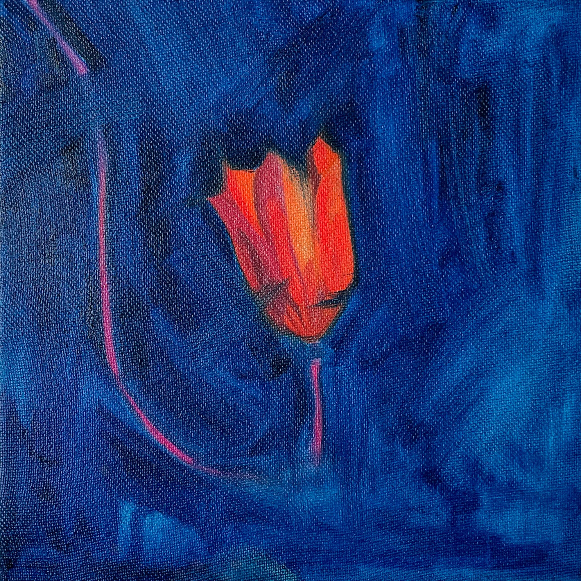 Tolenia