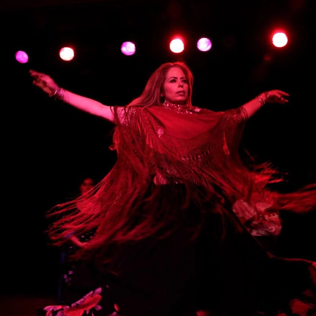 Belly Baile Workshops &amp; Performance