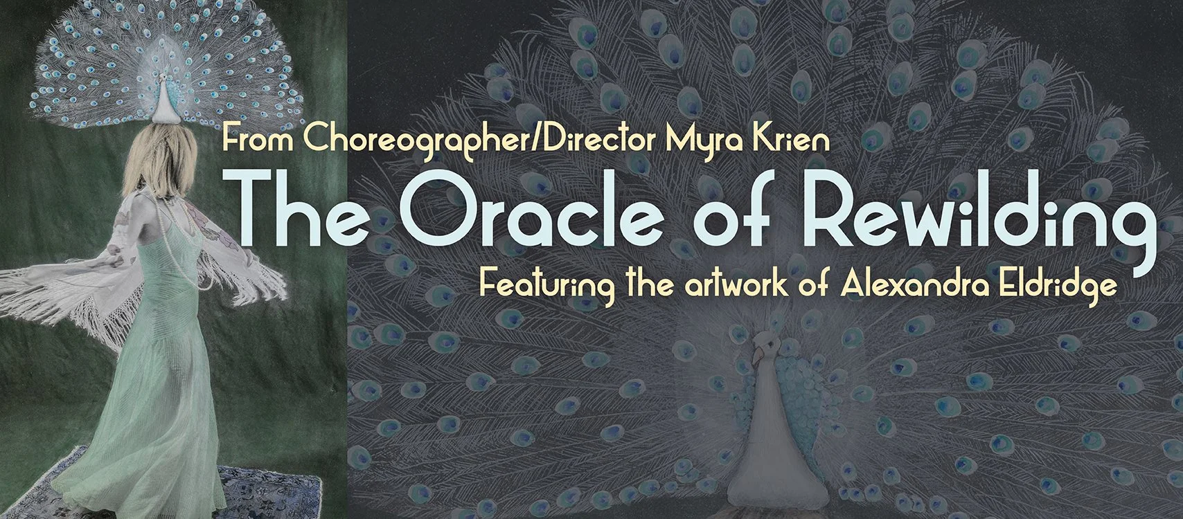 Invaders of the Heart 2026: The Oracle of Rewilding