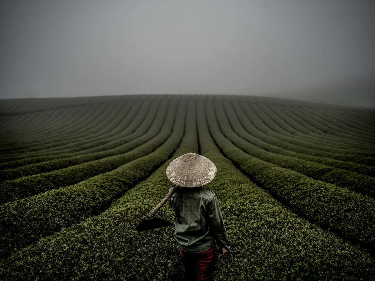 About — Justin Mott | Vietnam Based Photographer