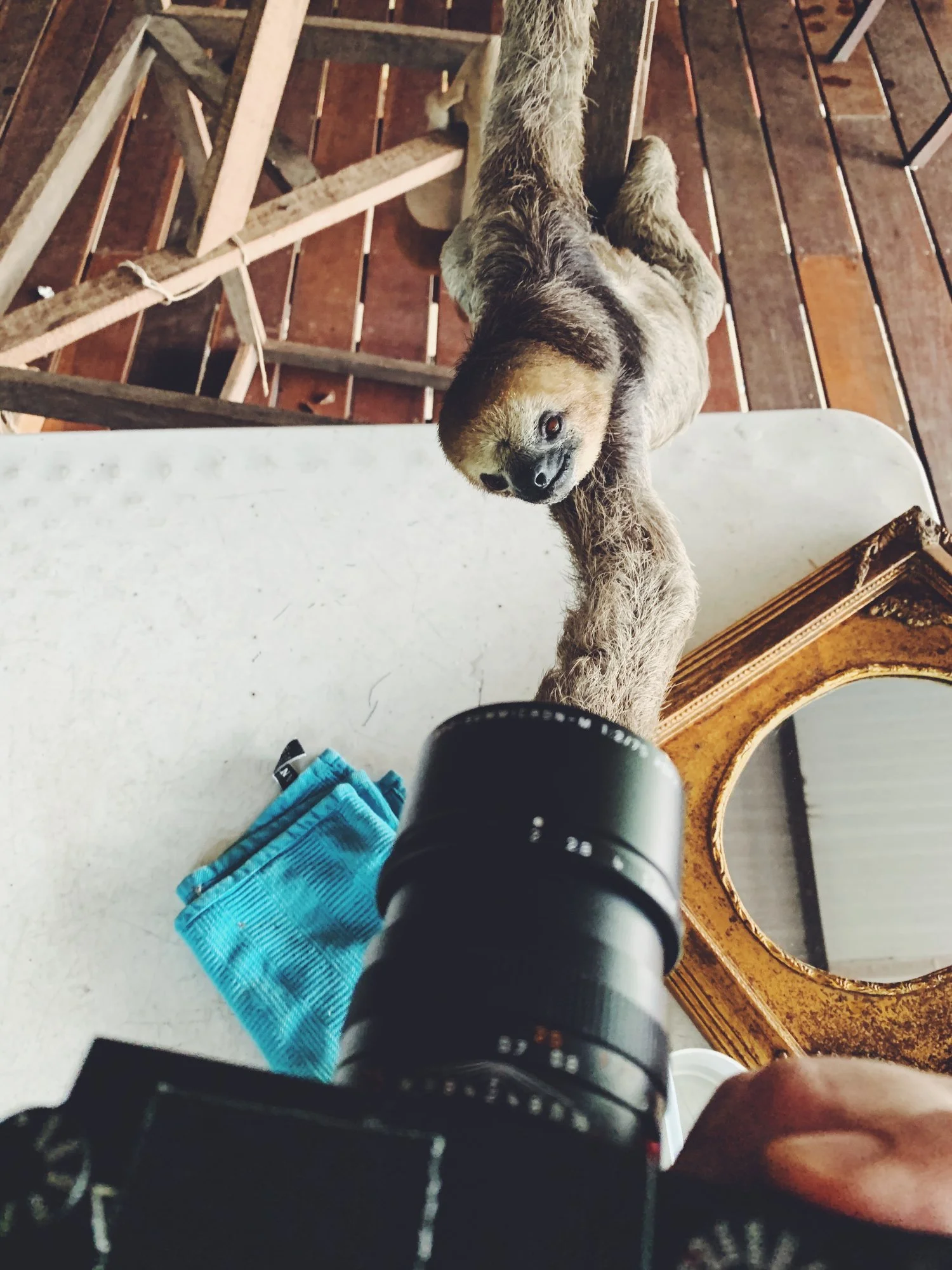 About — Justin Mott | Vietnam Based Photographer