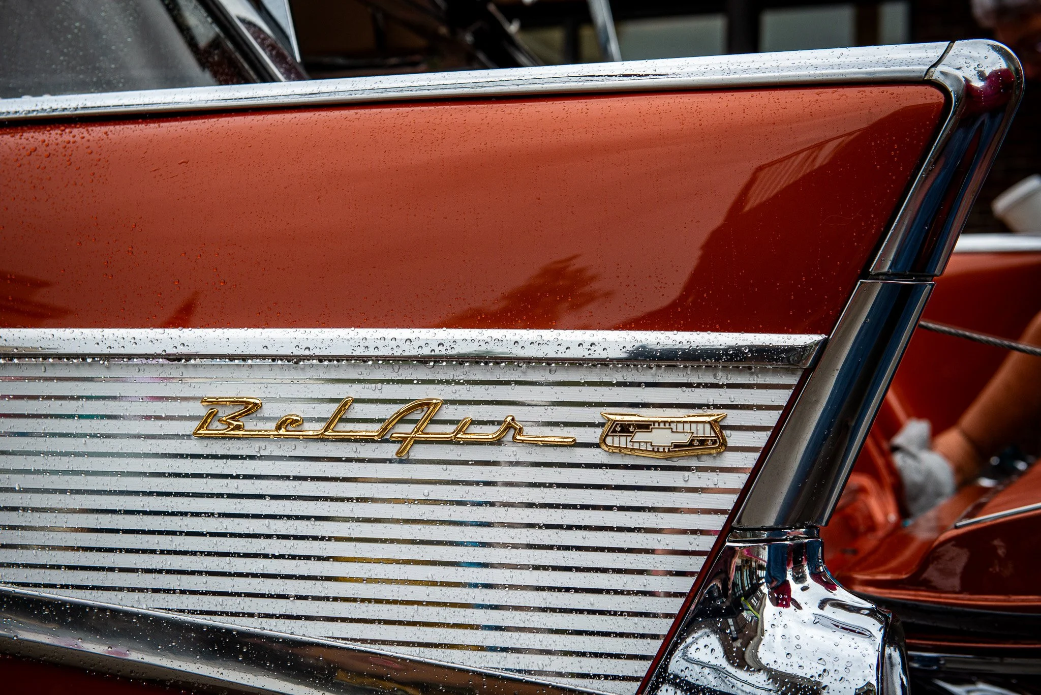 DSC_2284.jpg