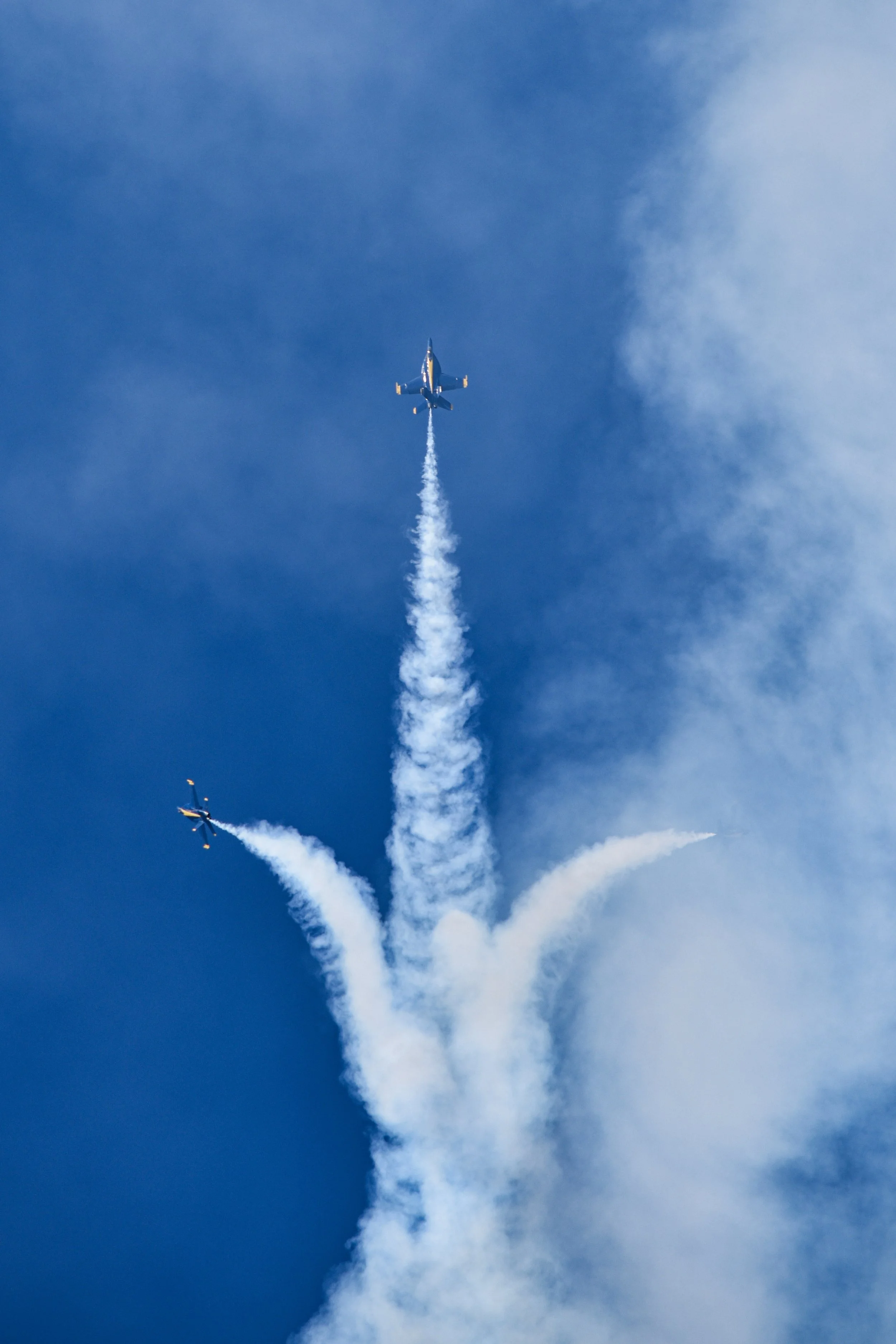 DSC_0313.jpg