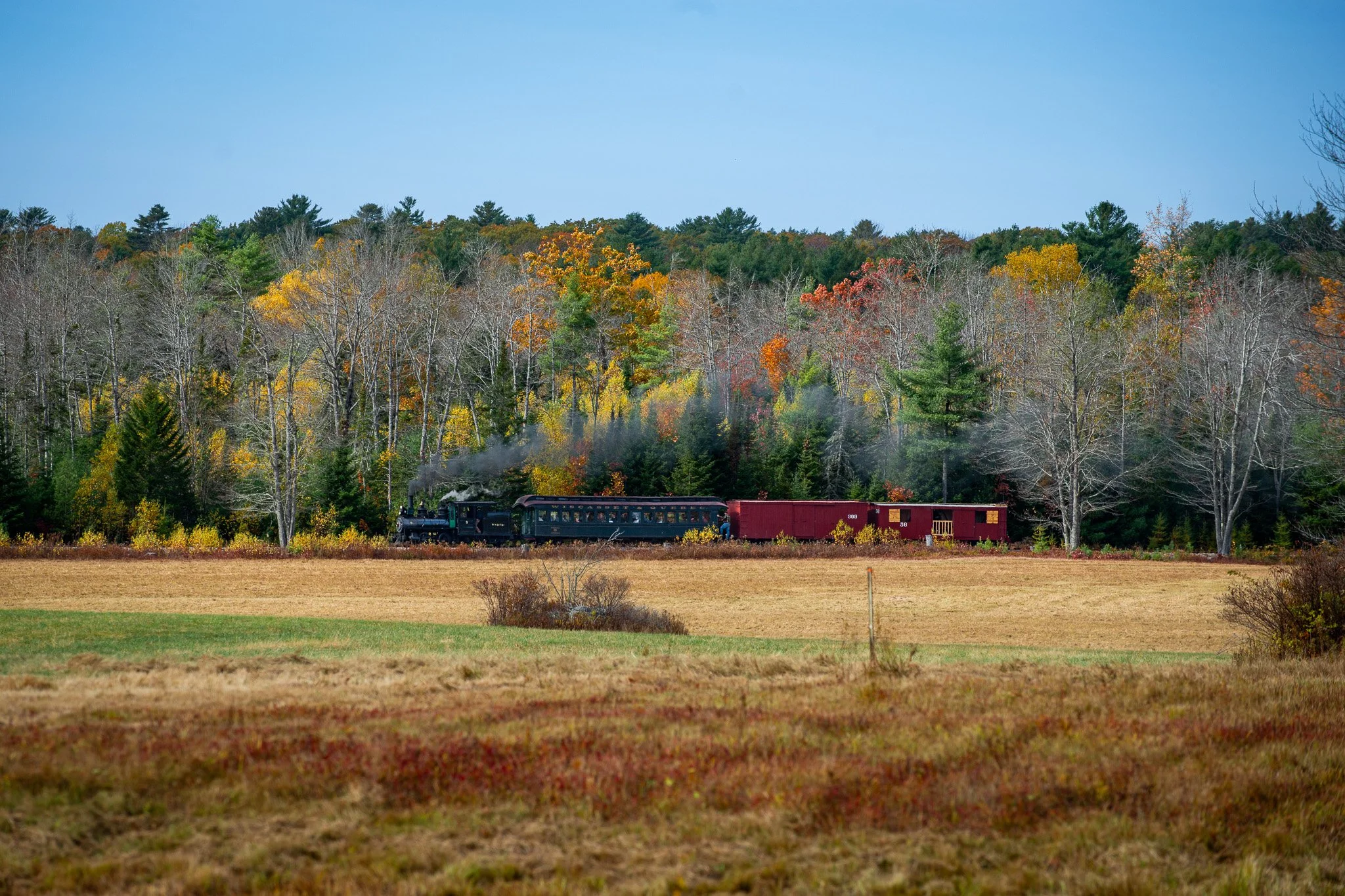 DSC_0224.jpg