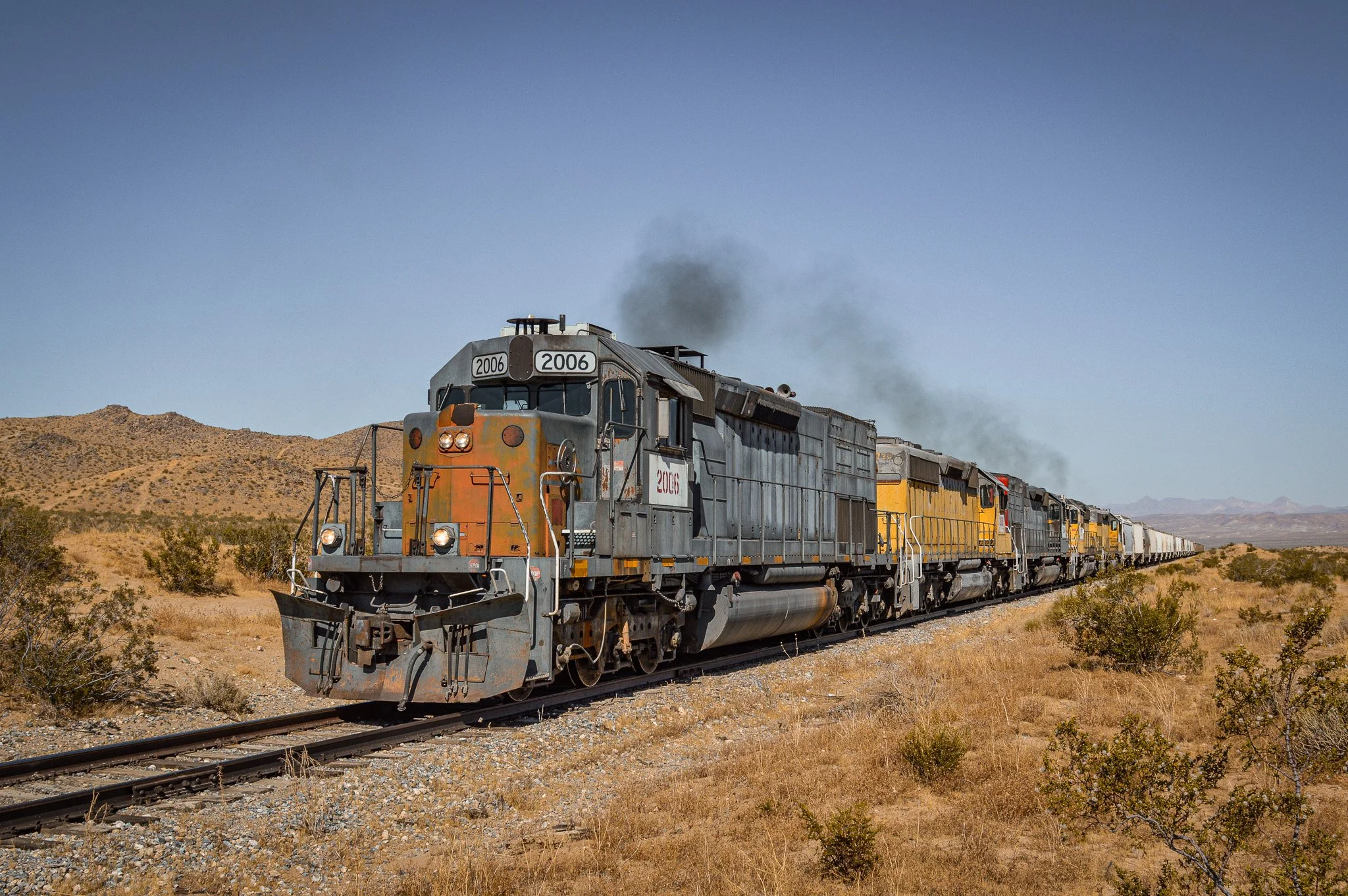 DSC_3367.jpg